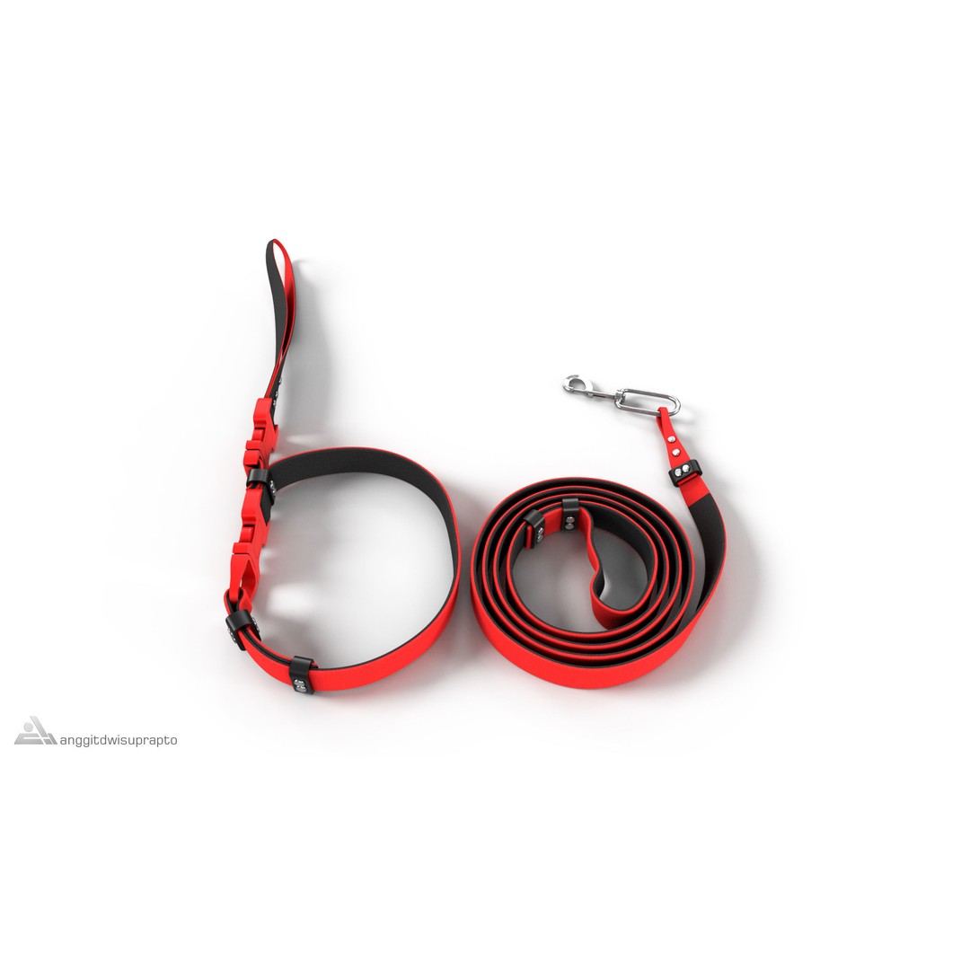 Pet Collar and Leash Set 3D Model – Stylish Accessories for Pets, FBX - View 4