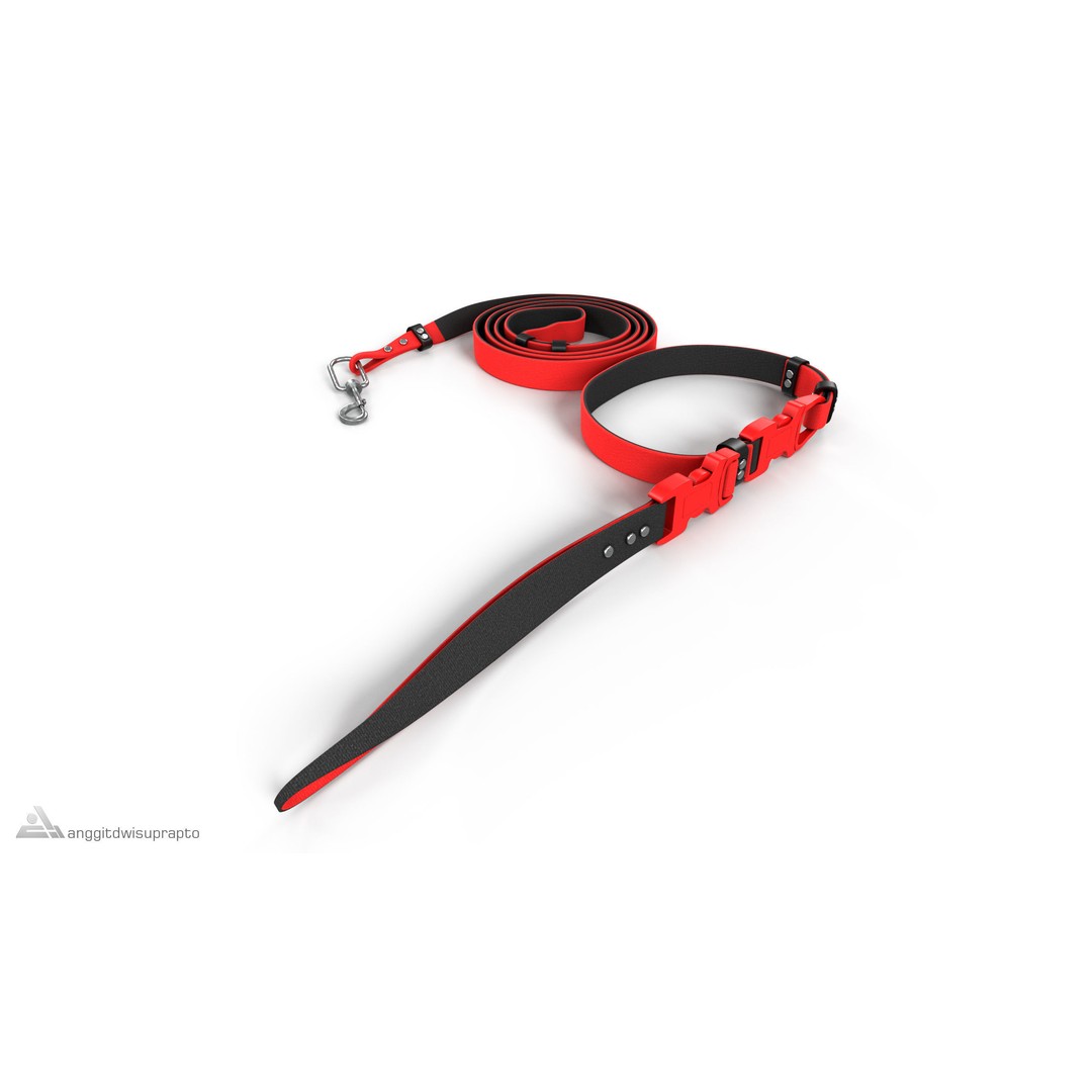 Pet Collar and Leash Set 3D Model – Stylish Accessories for Pets, FBX - View 5