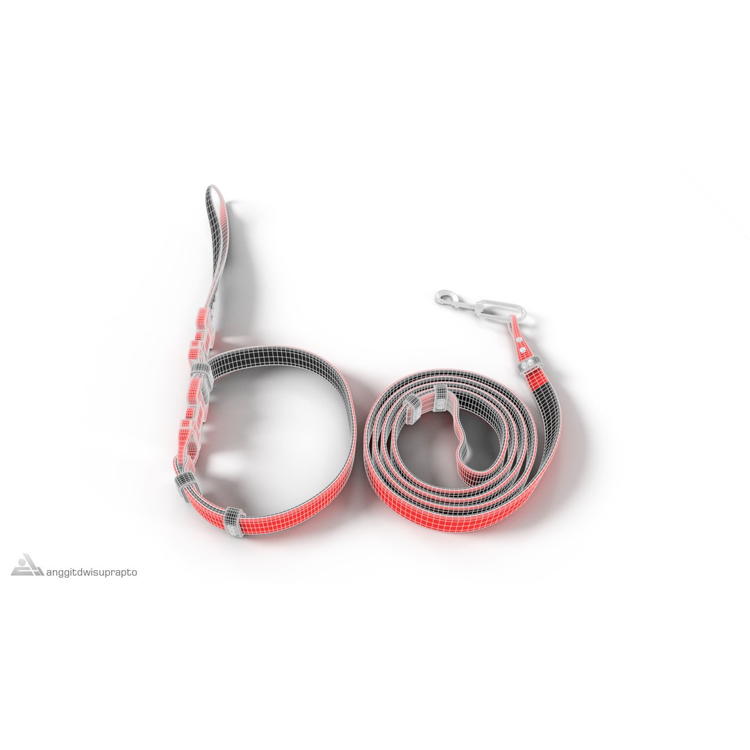 Pet Collar and Leash Set 3D Model – Stylish Accessories for Pets, FBX - View 6