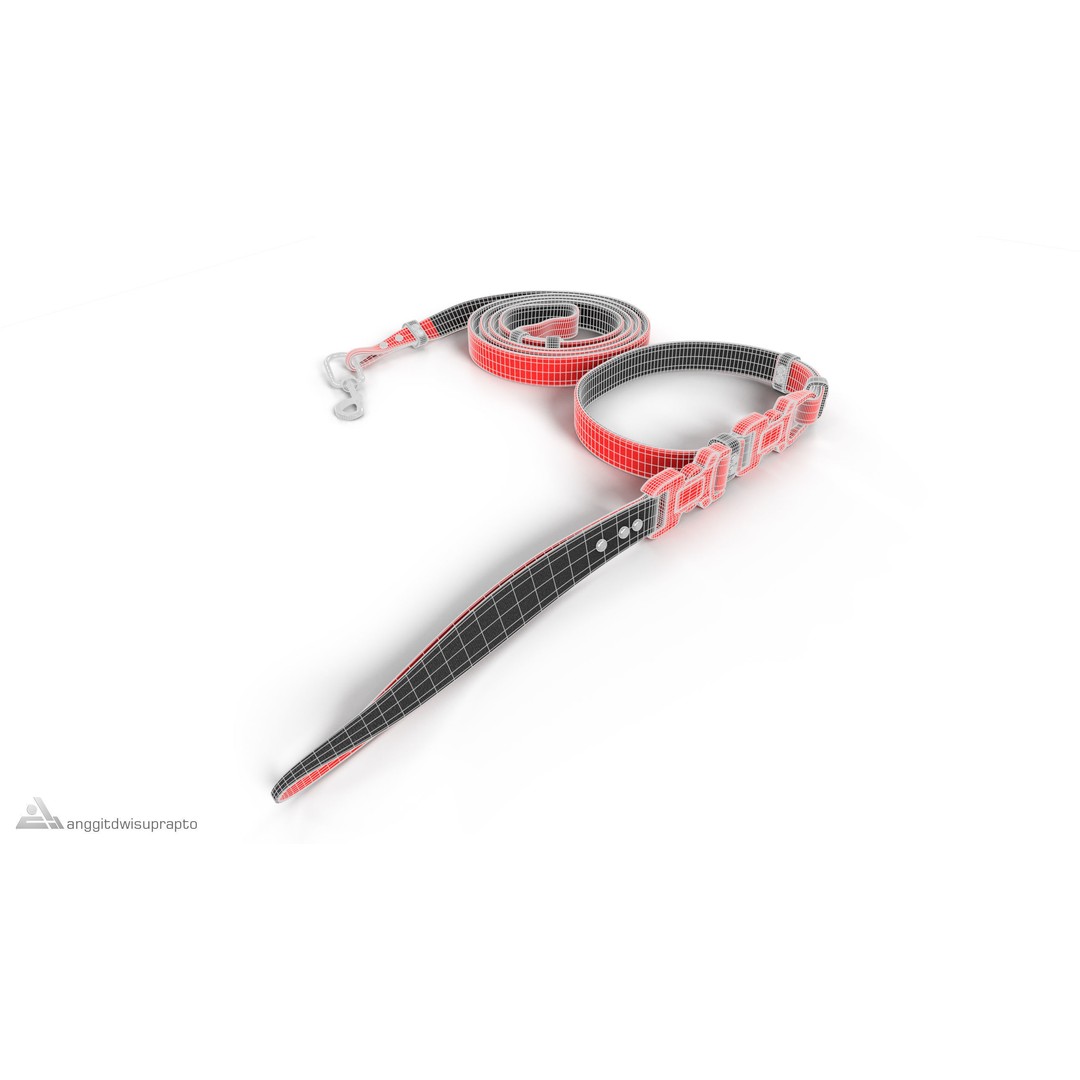 Pet Collar and Leash Set 3D Model – Stylish Accessories for Pets, FBX - View 7