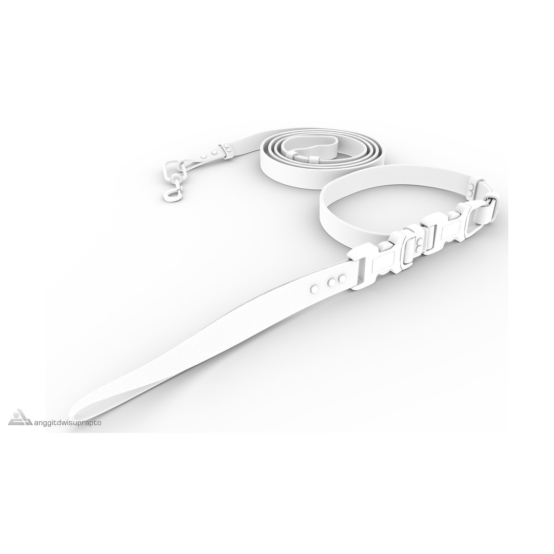 Pet Collar and Leash Set 3D Model – Stylish Accessories for Pets, FBX - View 9
