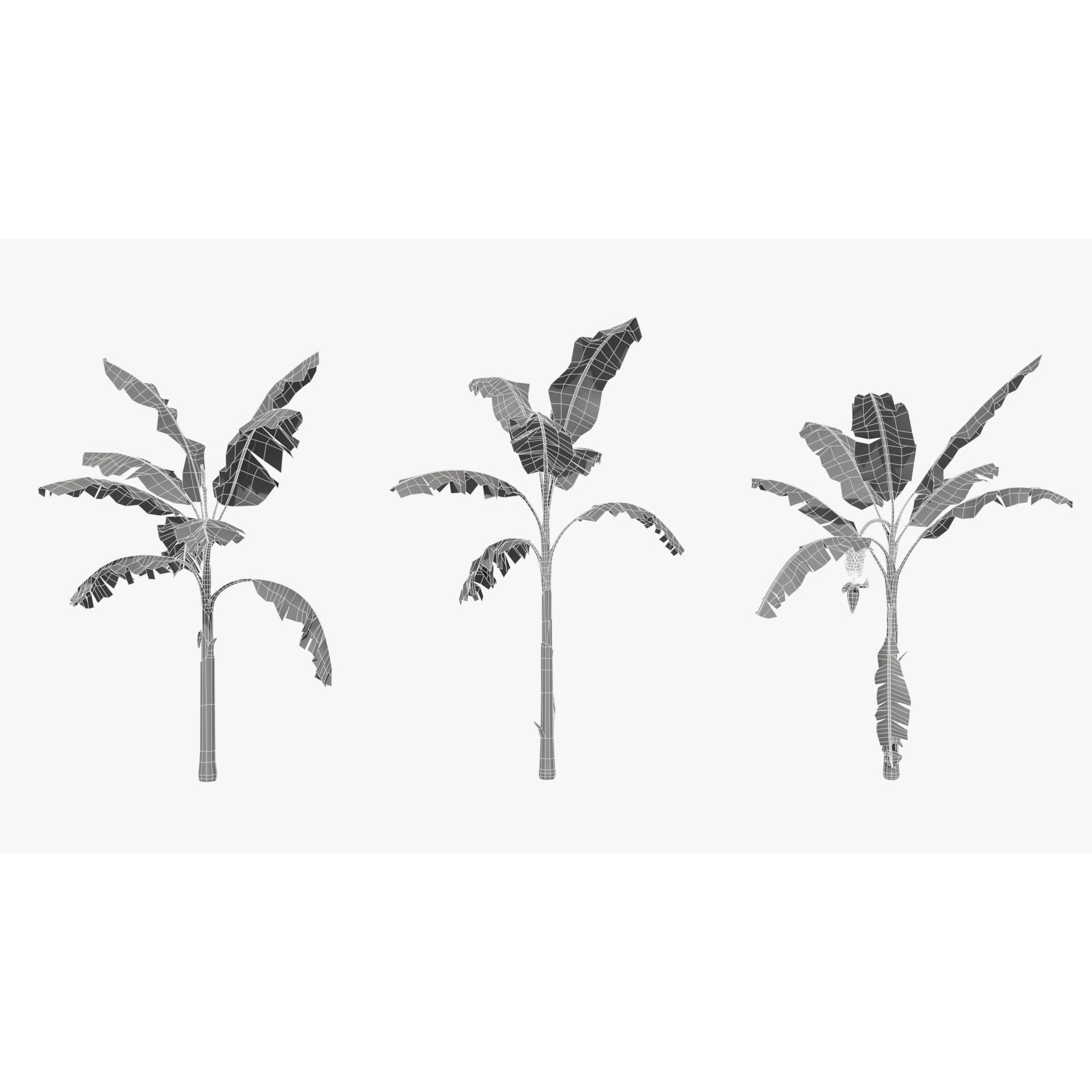 Musa Basjoo - Low-Poly Game-Ready 3D Model - View 12