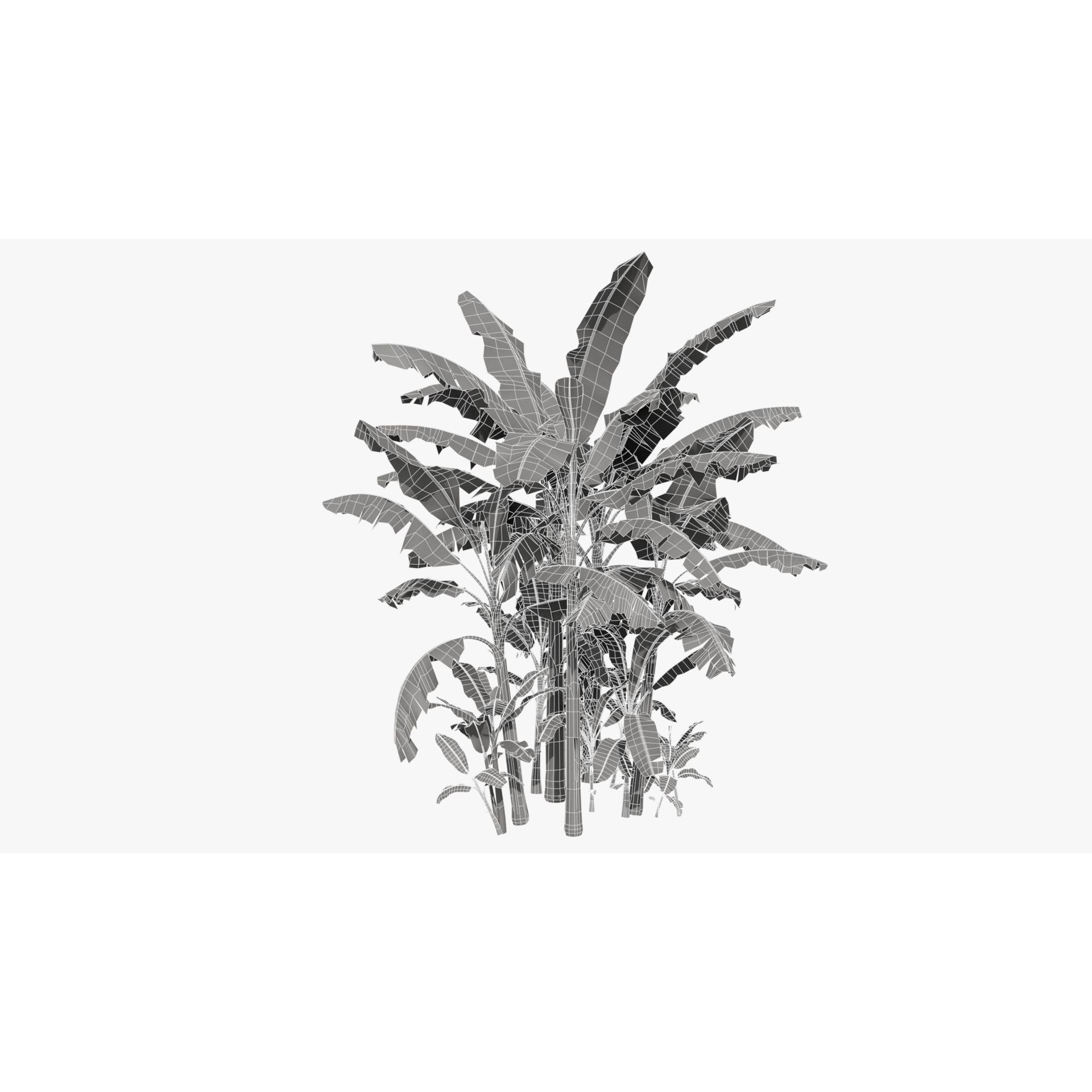 Musa Basjoo - Low-Poly Game-Ready 3D Model - View 13