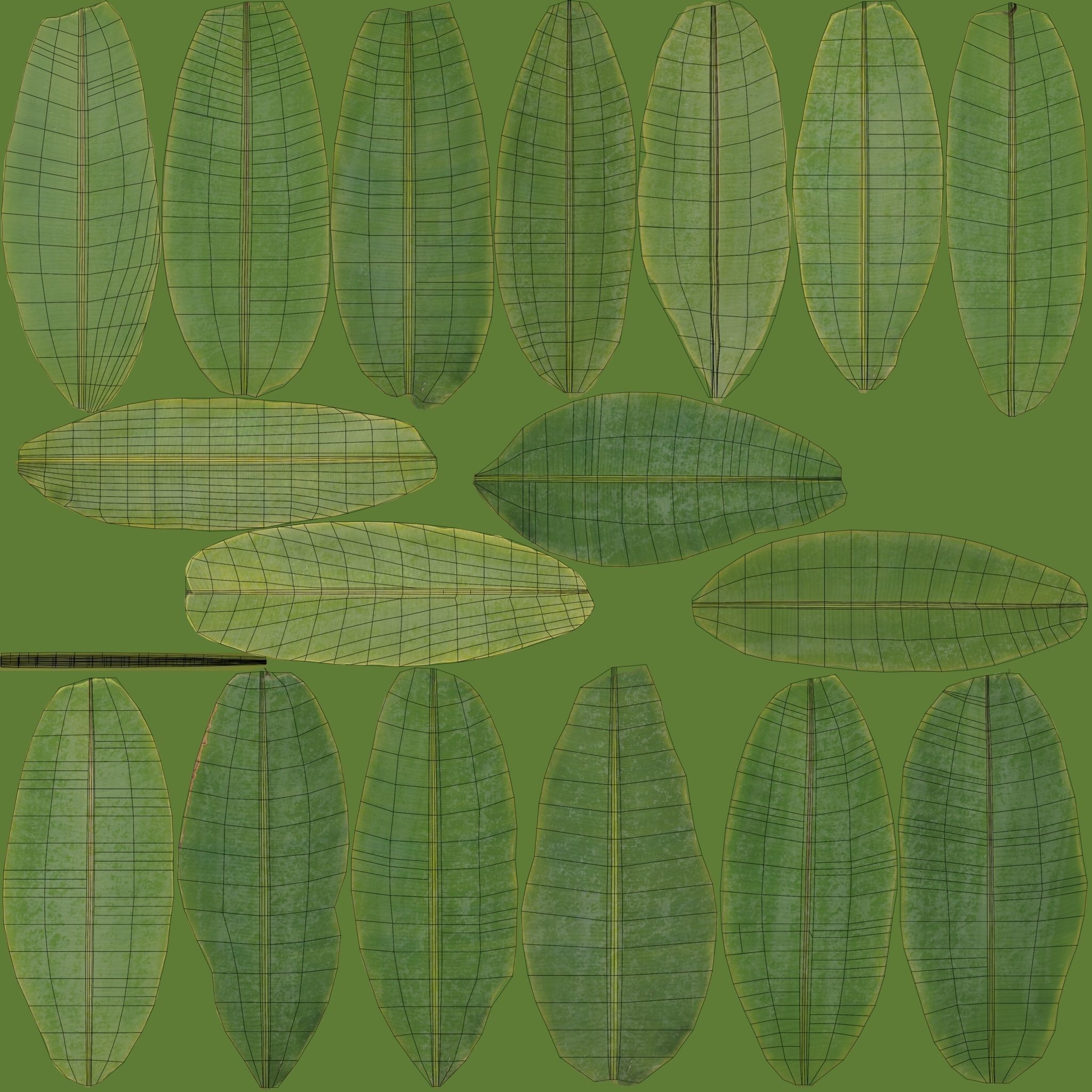 Musa Basjoo - Low-Poly Game-Ready 3D Model - View 15