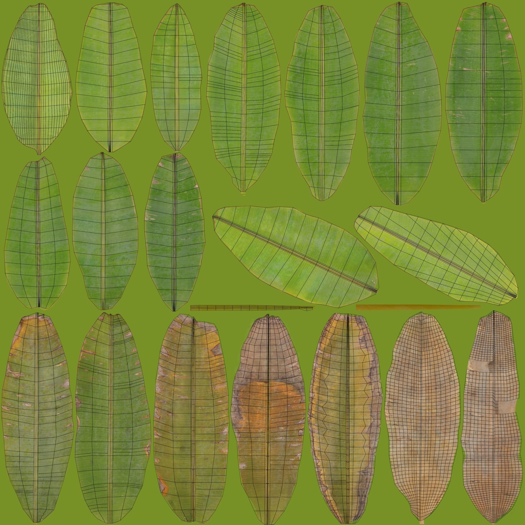 Musa Basjoo - Low-Poly Game-Ready 3D Model - View 17