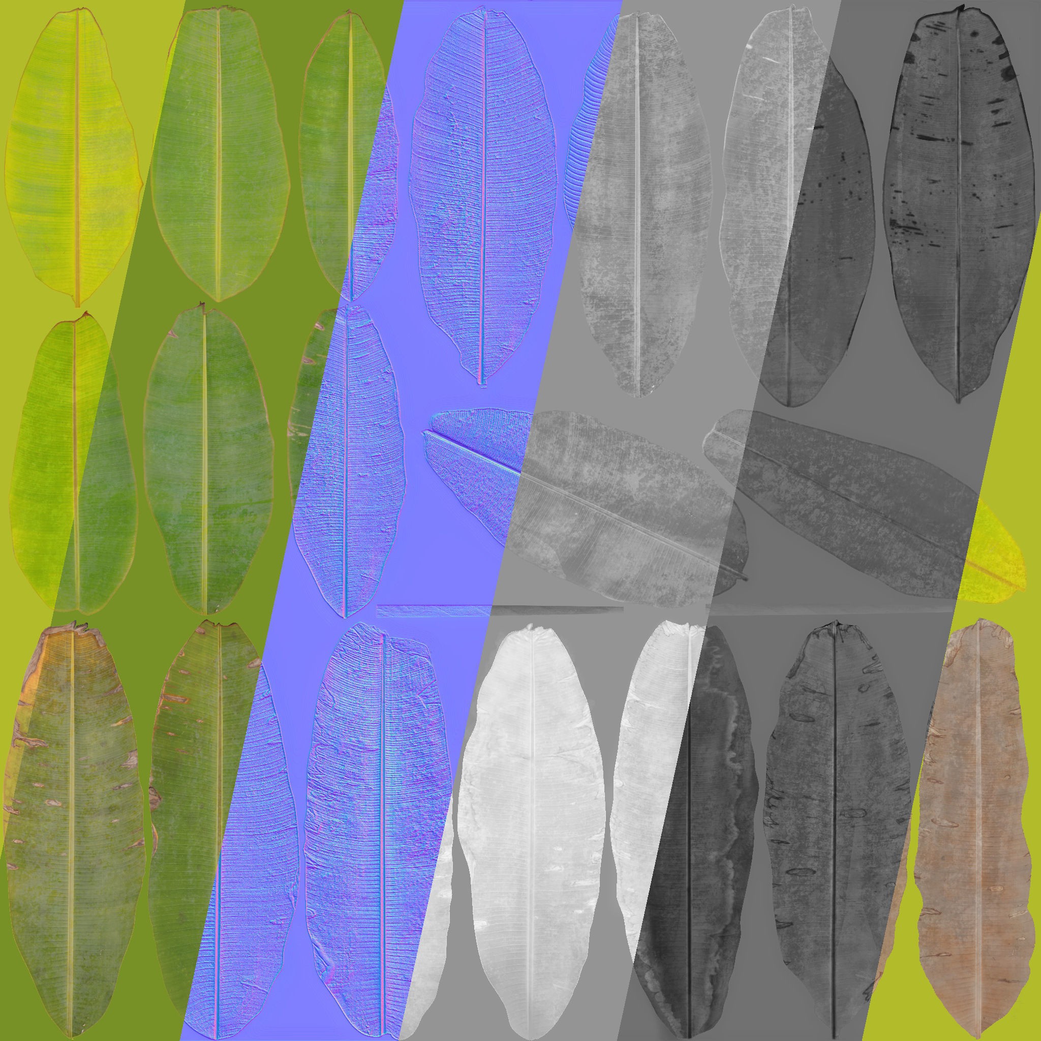 Musa Basjoo - Low-Poly Game-Ready 3D Model - View 18