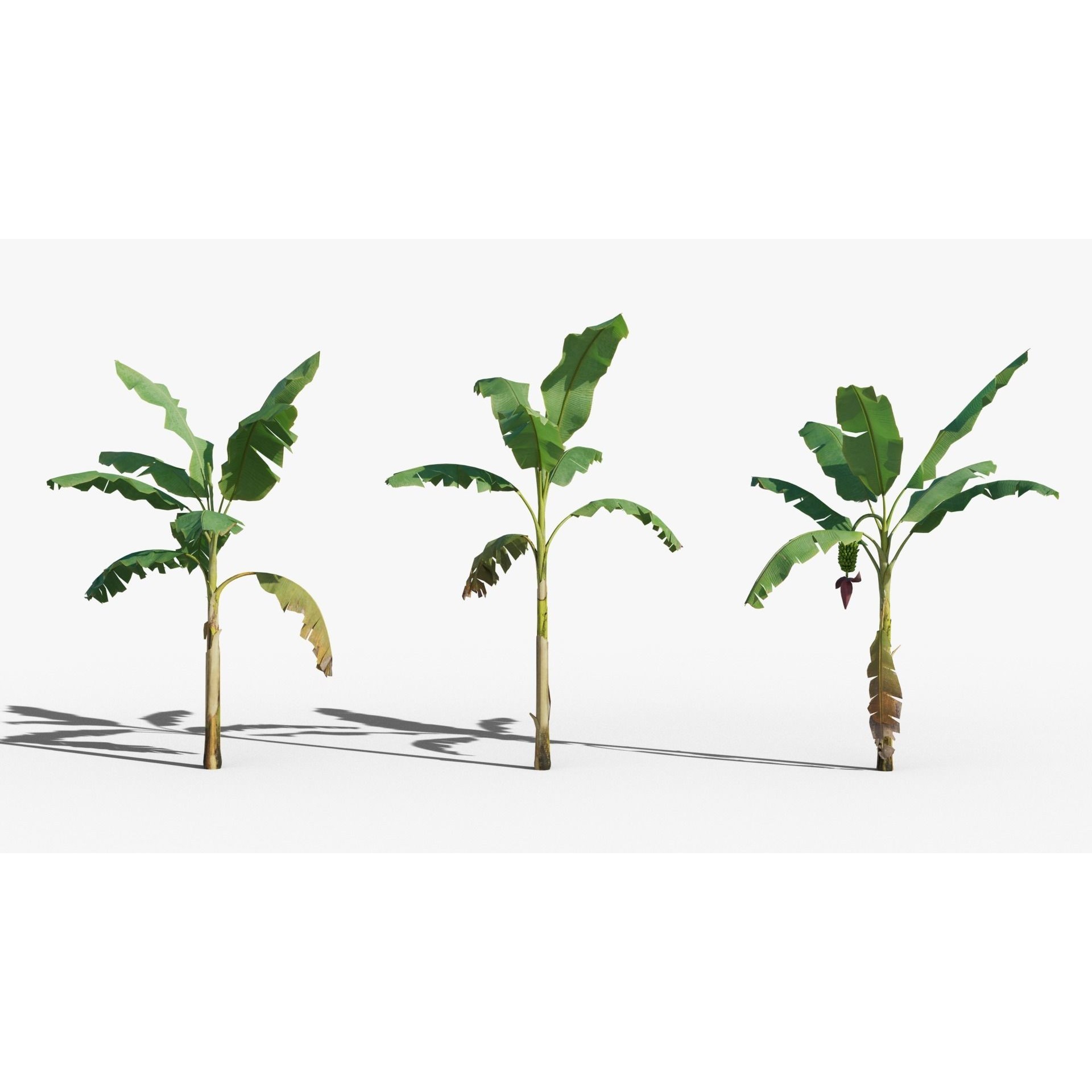 Musa Basjoo - Low-Poly Game-Ready 3D Model - View 6