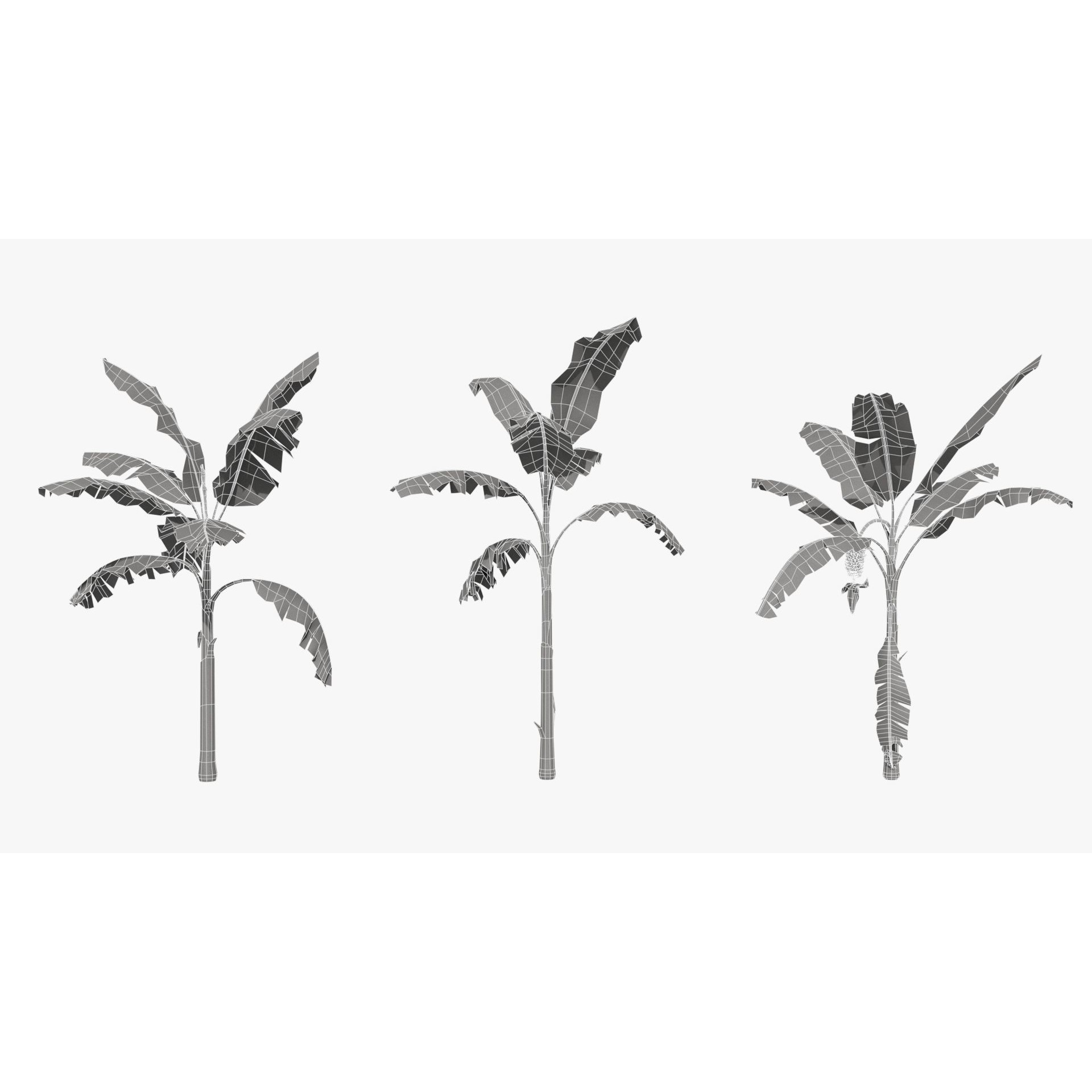 Musa Basjoo - Low-Poly Game-Ready 3D Model - View 9