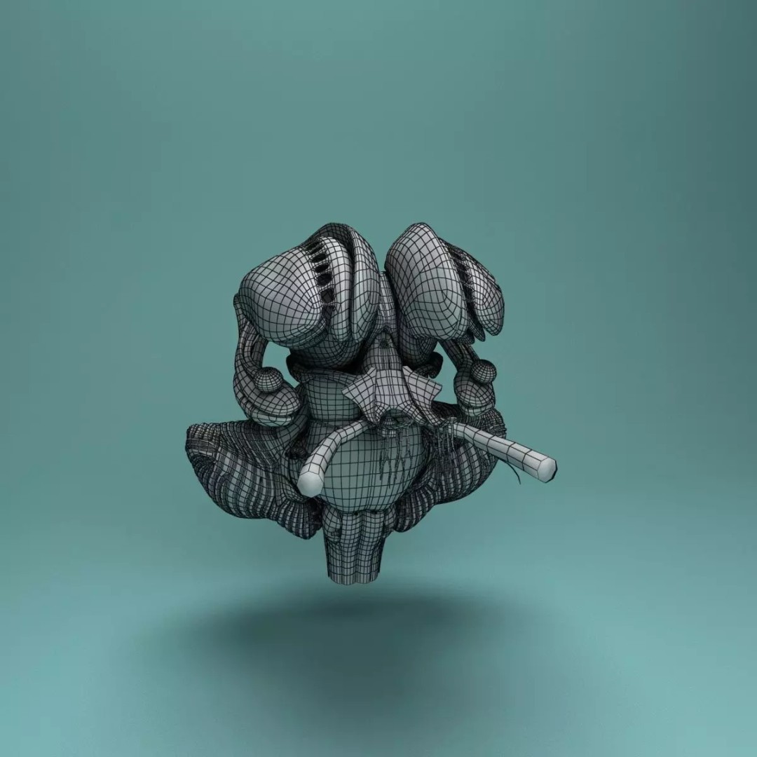 Human Brain 3D Model – Realistic Medical Anatomy, FBX, OBJ - View 22