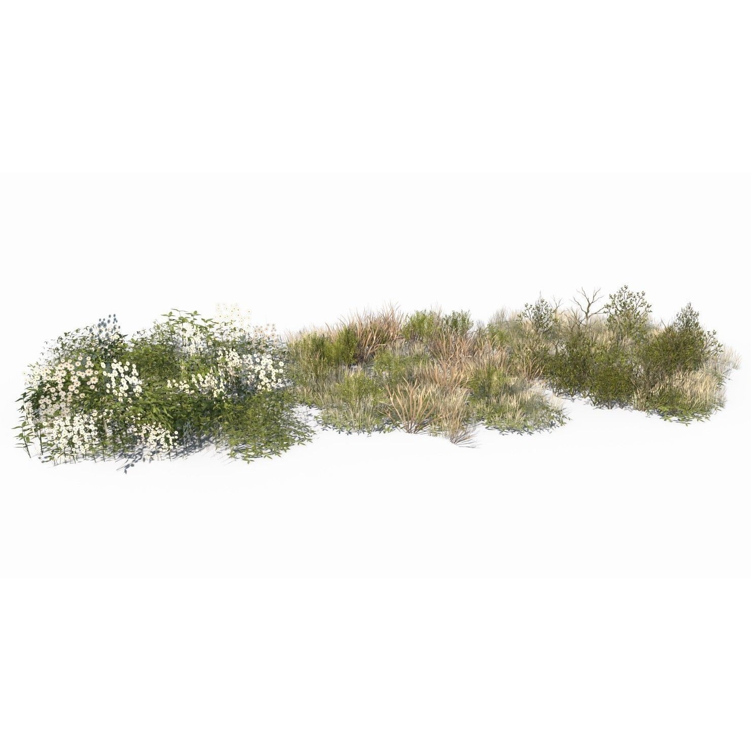 Grass and Plant - Low-Poly Game-Ready 3D Model - View 3