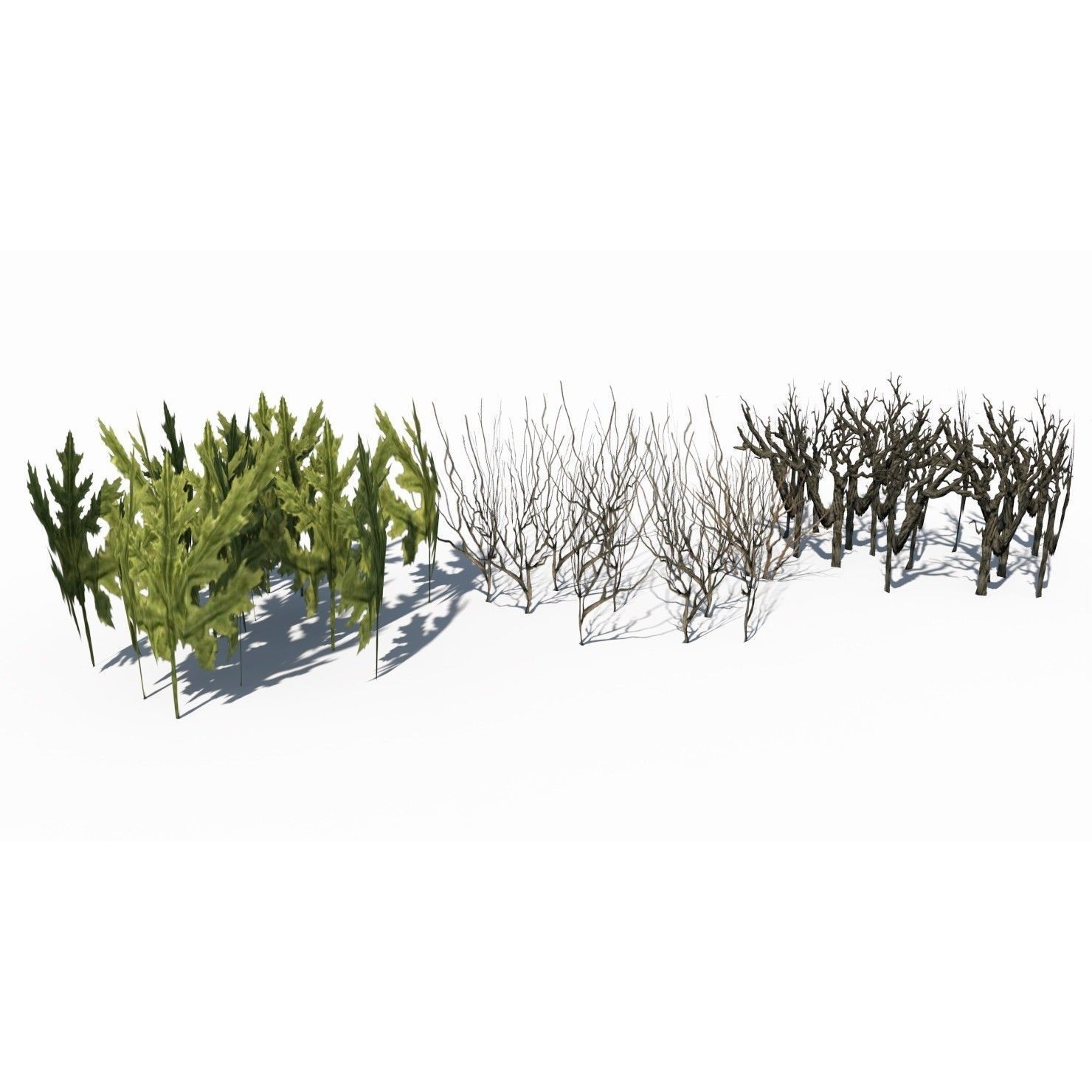 Grass and Plant - Low-Poly Game-Ready 3D Model - View 4