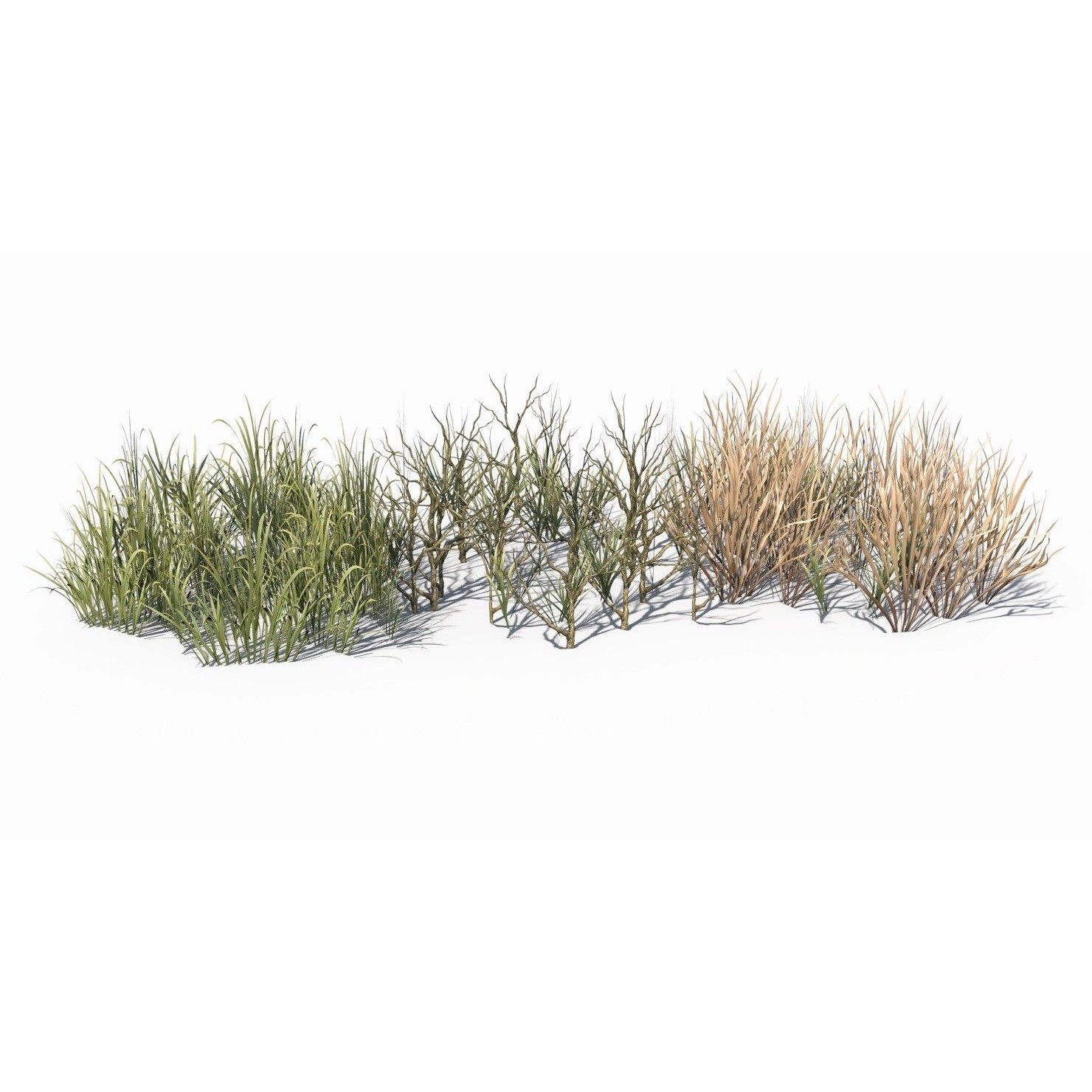 Grass and Plant - Low-Poly Game-Ready 3D Model - View 5