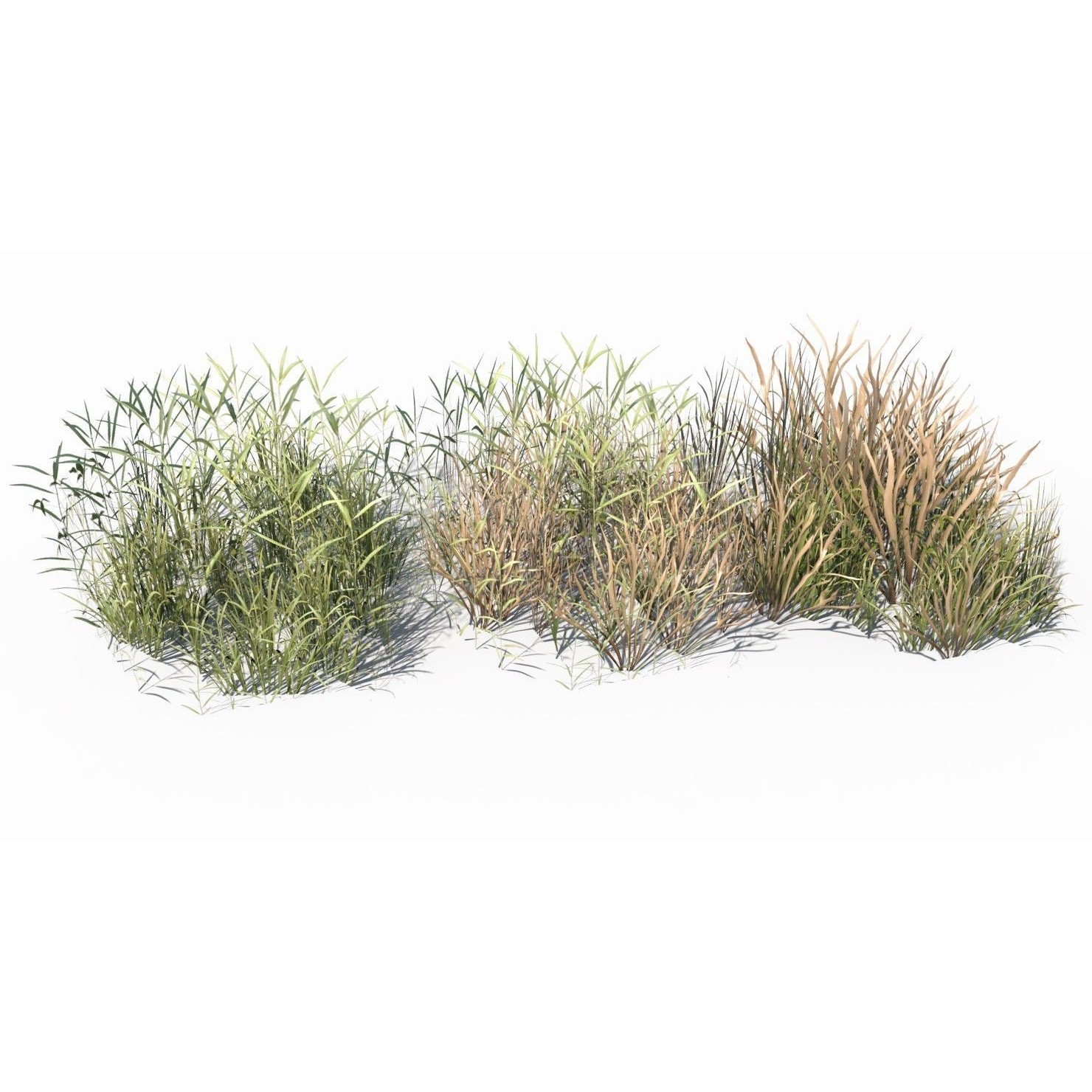 Grass and Plant - Low-Poly Game-Ready 3D Model - View 6
