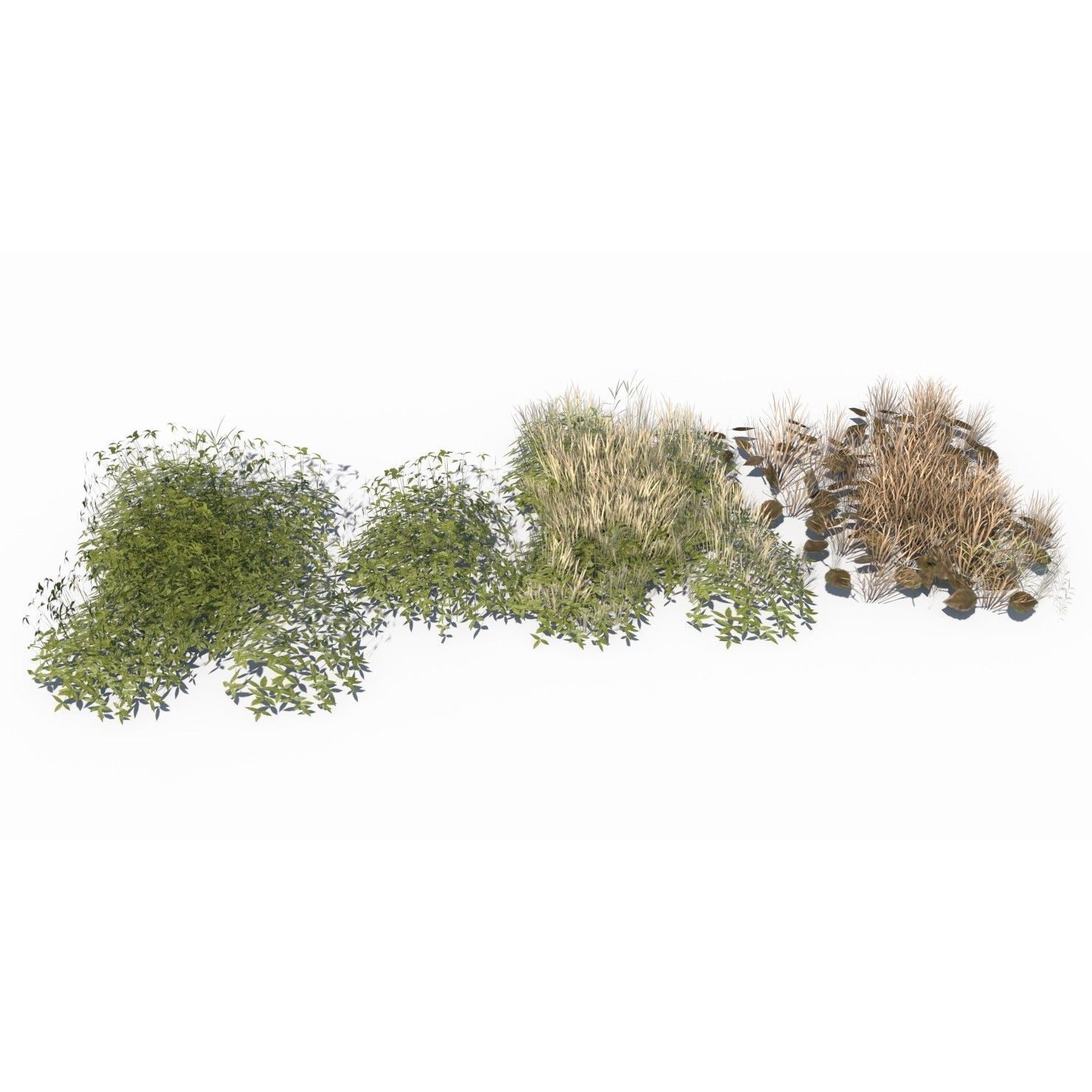 Grass and Plant - Low-Poly Game-Ready 3D Model - View 7