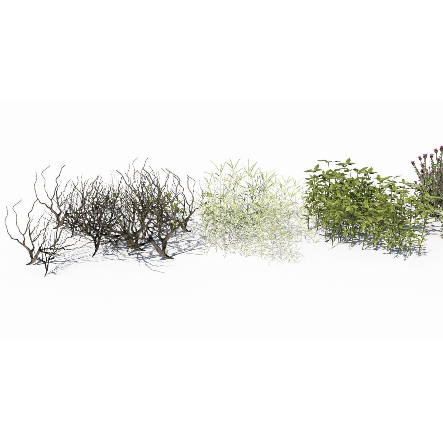 Grass and Plant - Low-Poly Game-Ready 3D Model - View 8