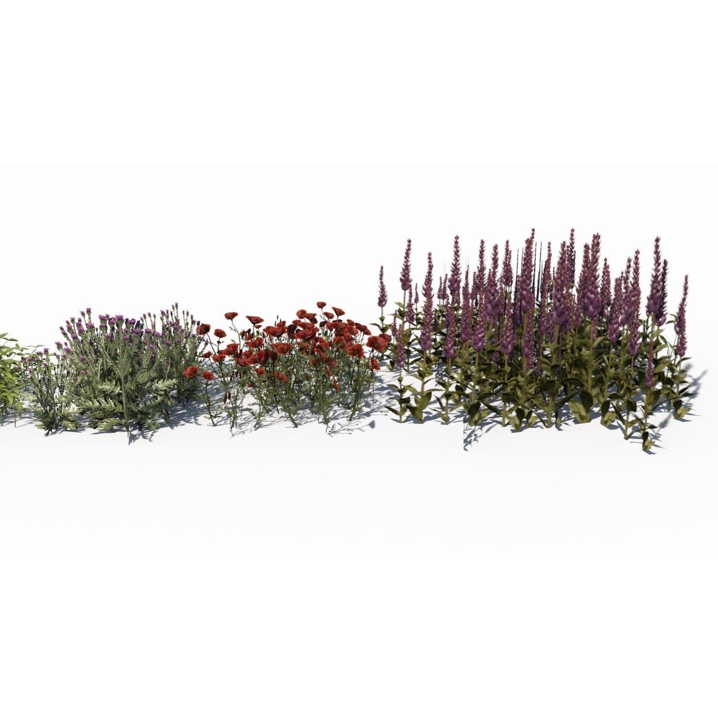 Grass and Plant - Low-Poly Game-Ready 3D Model - View 9
