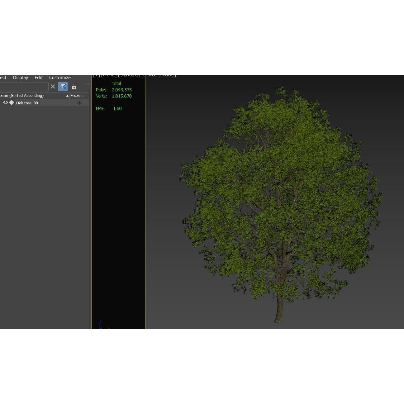 Oak Tree - Game-Ready 3D Model
