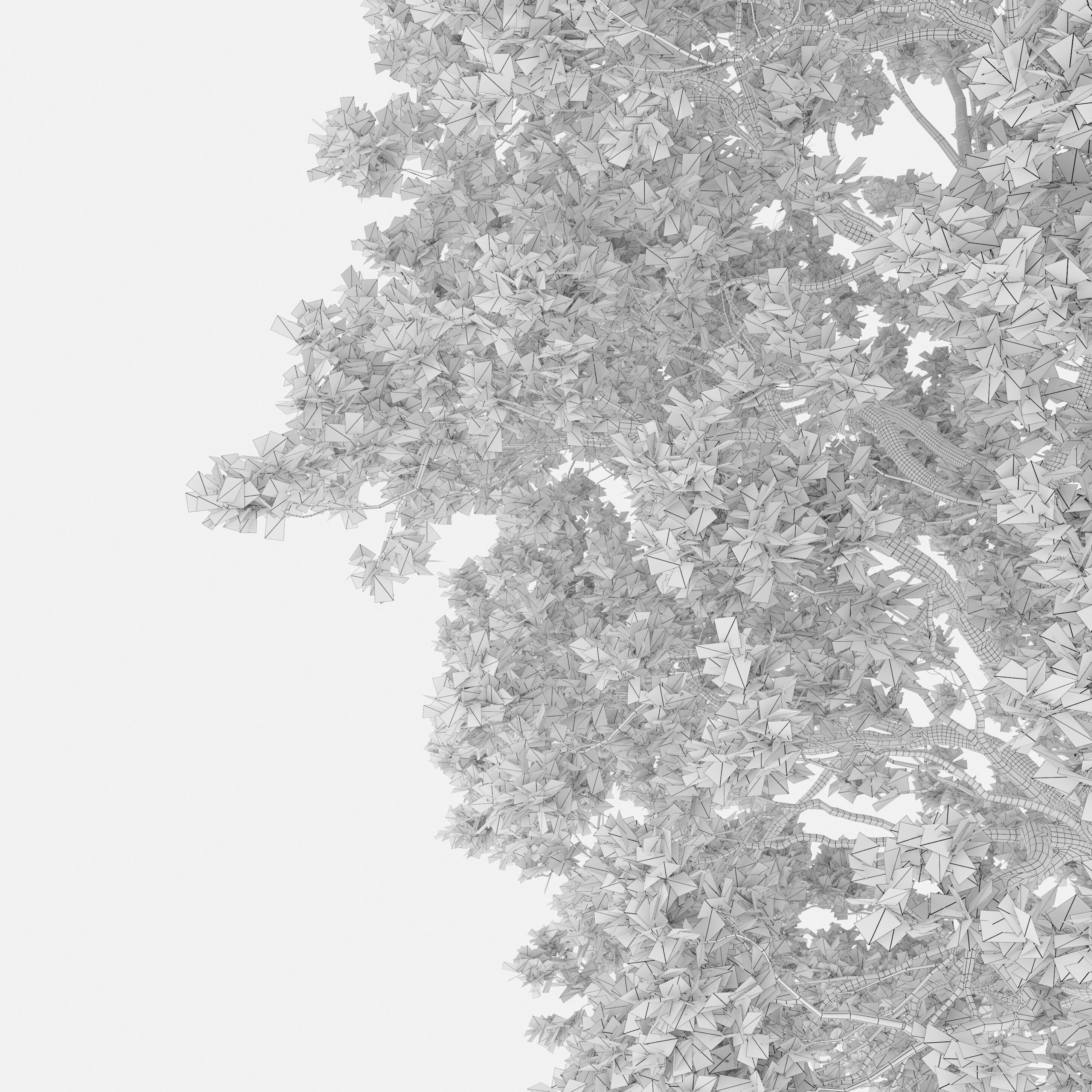 Oak Tree - Game-Ready 3D Model - View 8