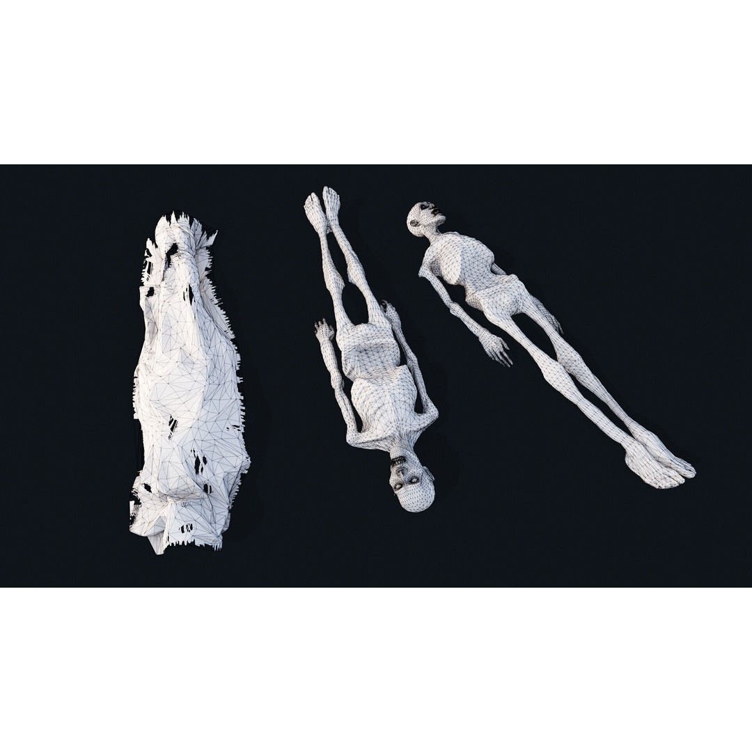 Human Corpse 3D Model – Low Poly PBR Asset for Scientific Use