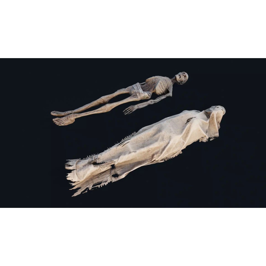Human Corpse 3D Model – Low Poly PBR Asset for Scientific Use - View 2