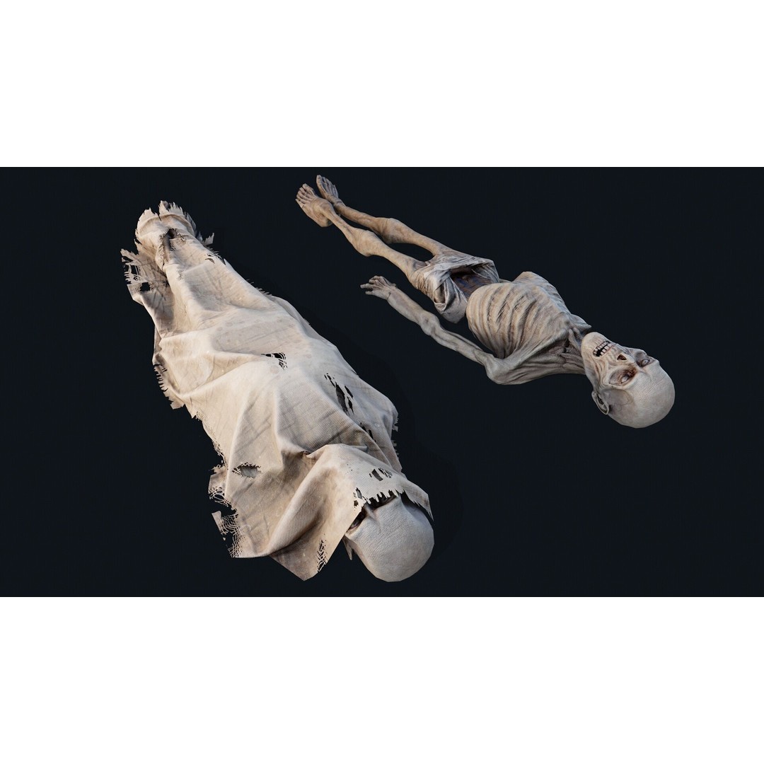 Human Corpse 3D Model – Low Poly PBR Asset for Scientific Use - View 3