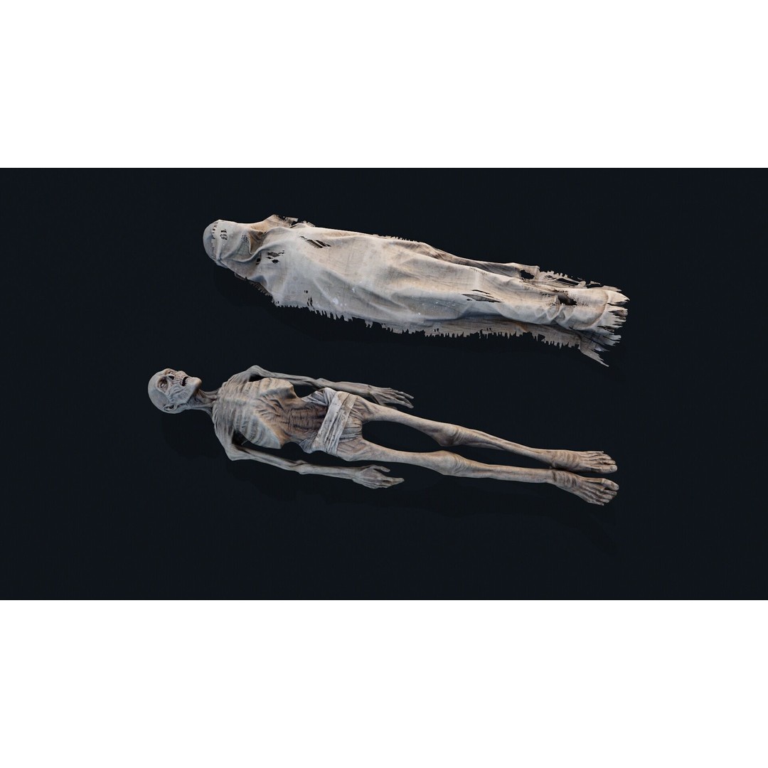 Human Corpse 3D Model – Low Poly PBR Asset for Scientific Use - View 4