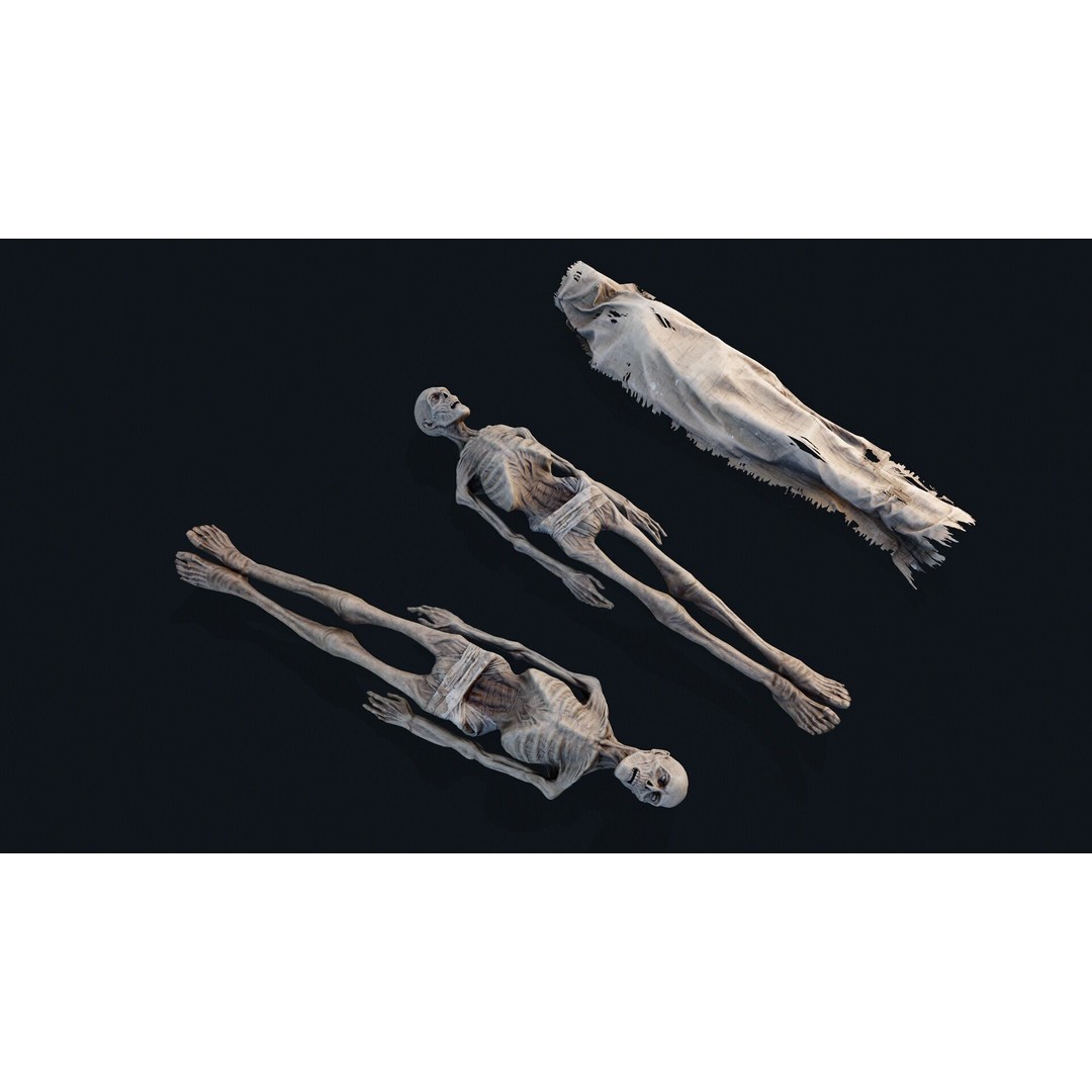 Human Corpse 3D Model – Low Poly PBR Asset for Scientific Use - View 5