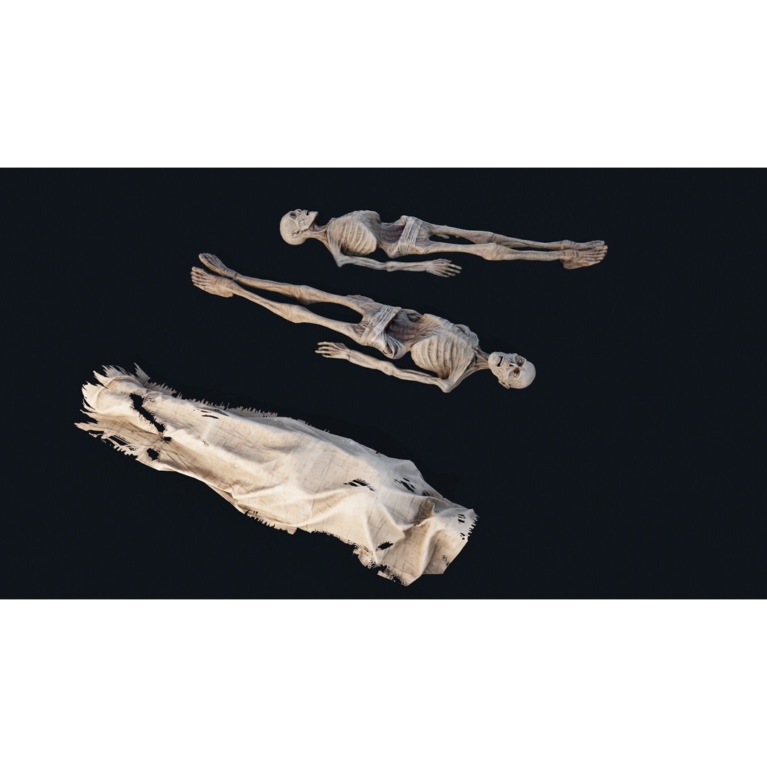 Human Corpse 3D Model – Low Poly PBR Asset for Scientific Use - View 6