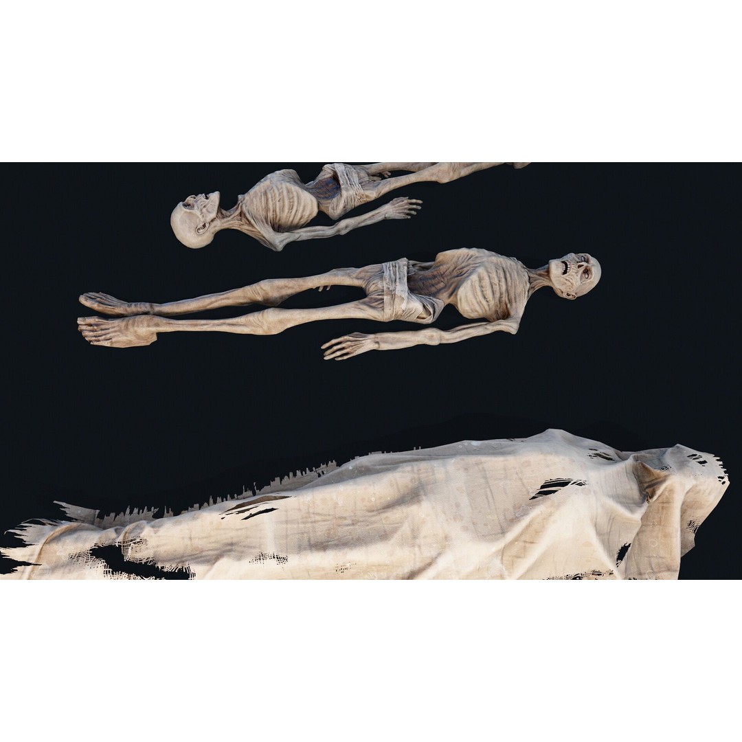 Human Corpse 3D Model – Low Poly PBR Asset for Scientific Use - View 7