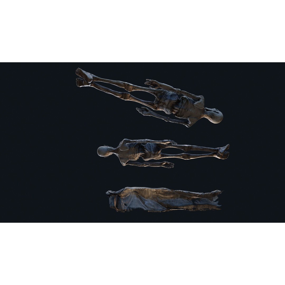 Human Corpse 3D Model – Low Poly PBR Asset for Scientific Use - View 8