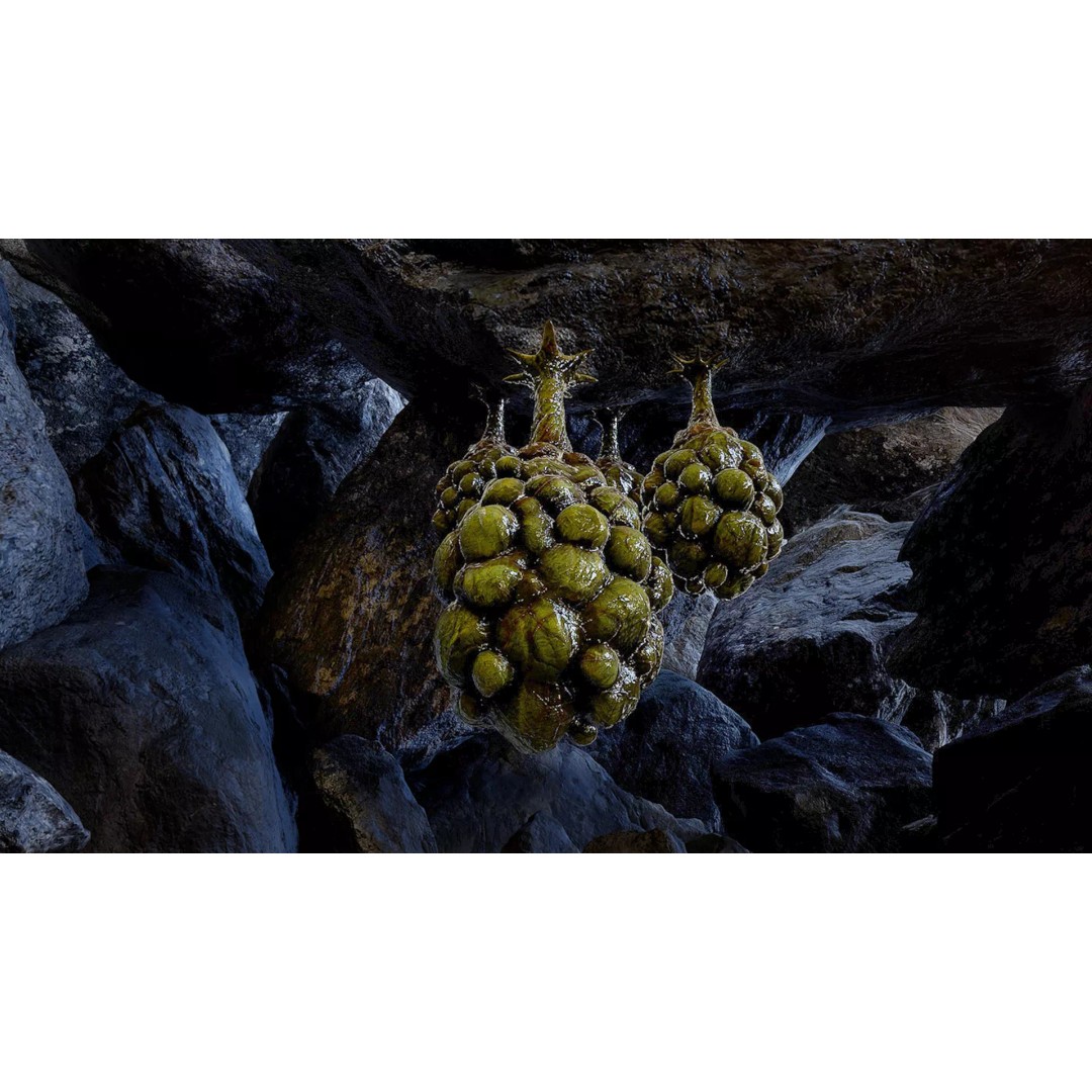 Alien Egg 3D Model – Low Poly Creature Asset, FBX & Blender - View 2