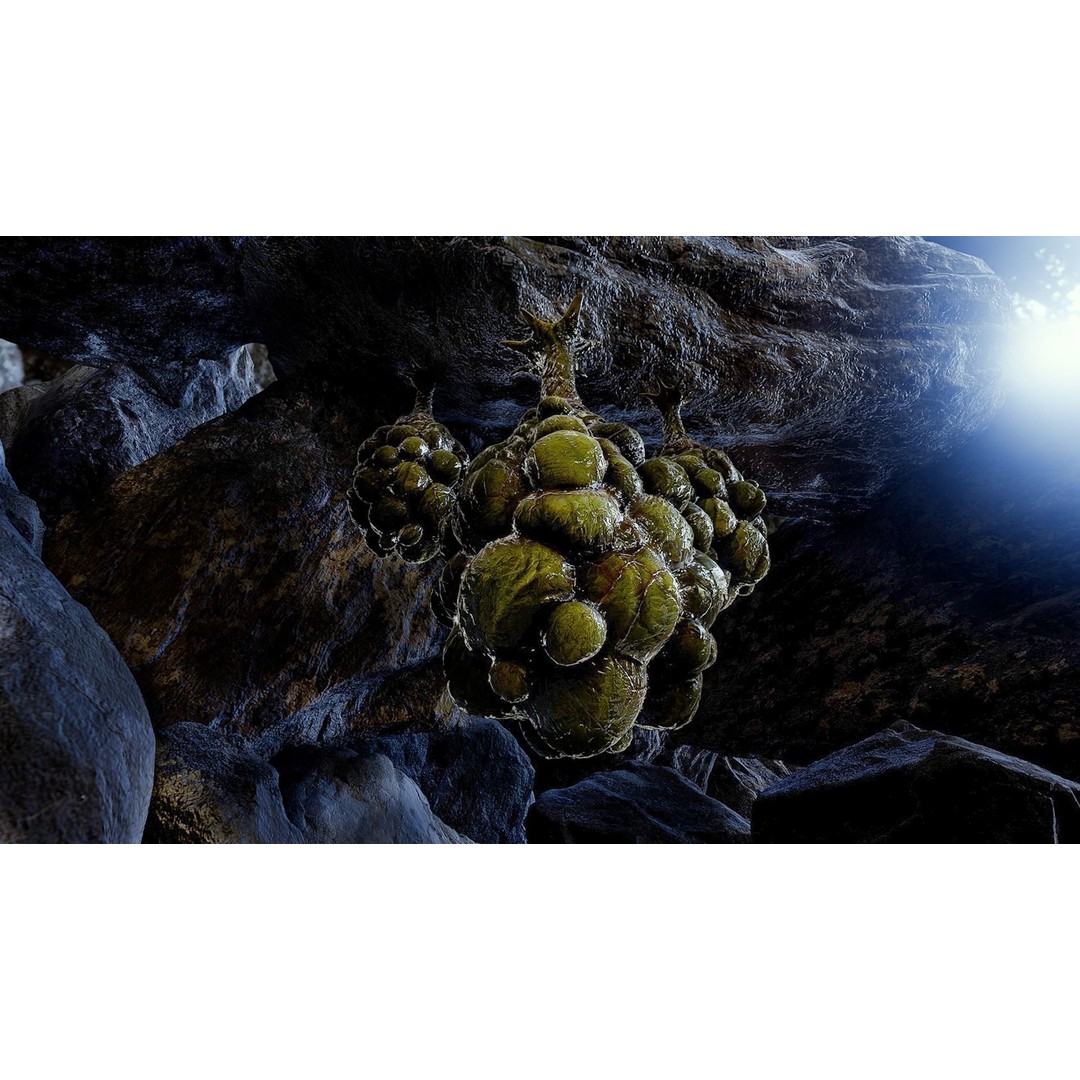 Alien Egg 3D Model – Low Poly Creature Asset, FBX & Blender - View 3