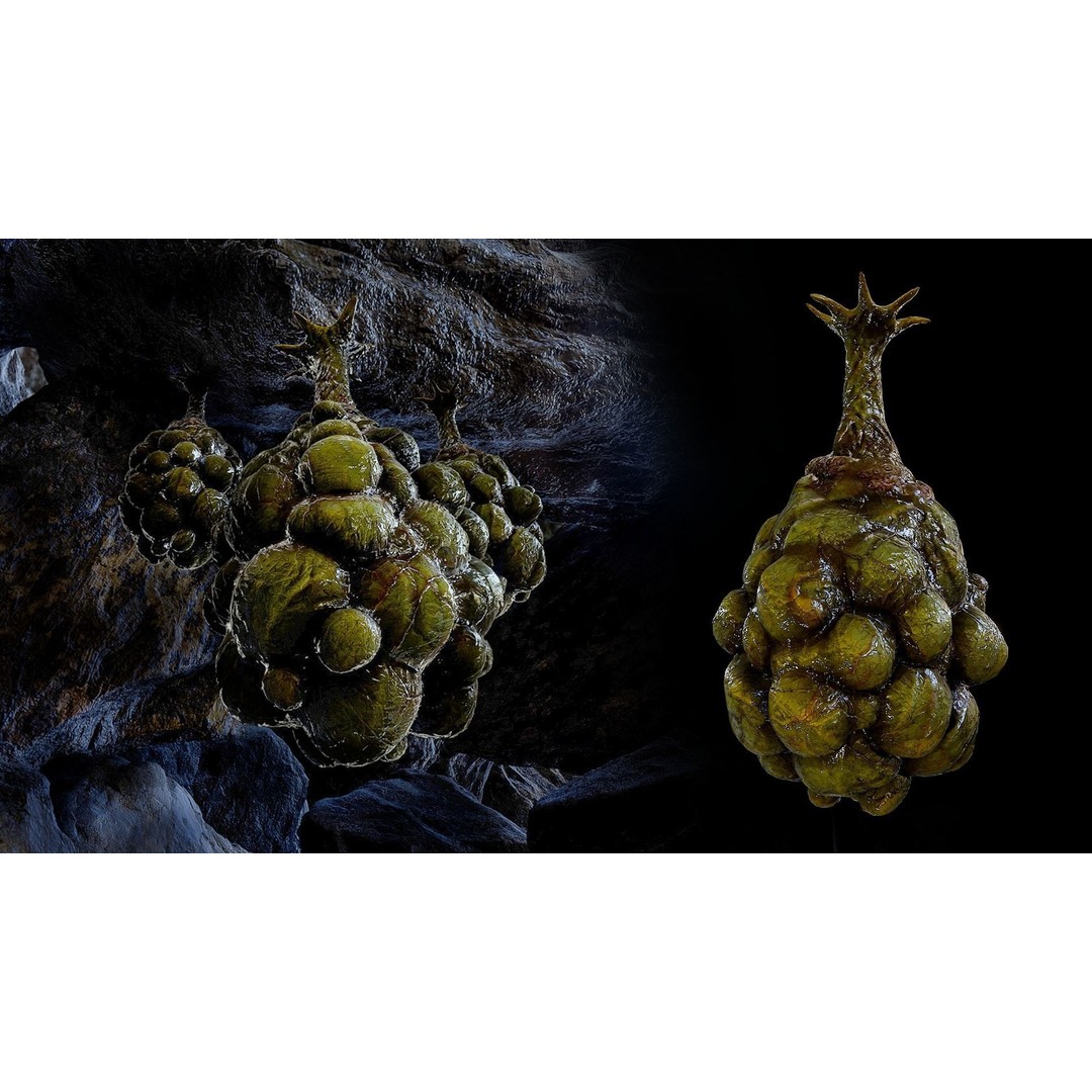 Alien Egg 3D Model – Low Poly Creature Asset, FBX & Blender - View 4