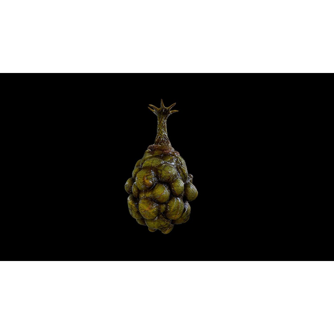 Alien Egg 3D Model – Low Poly Creature Asset, FBX & Blender - View 7