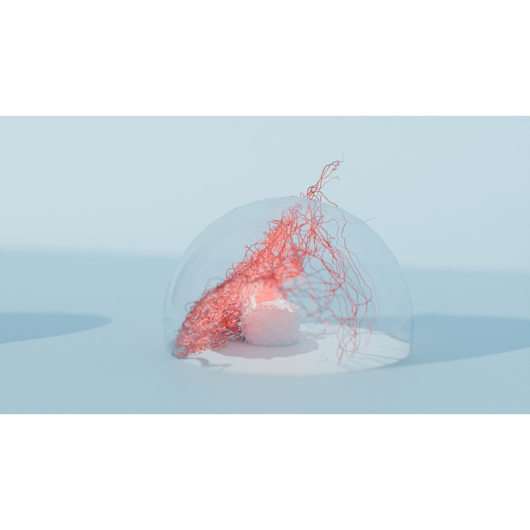 Cancer Cells 3D Model – High-Resolution Animated Infographic, FBX, OBJ - View 10