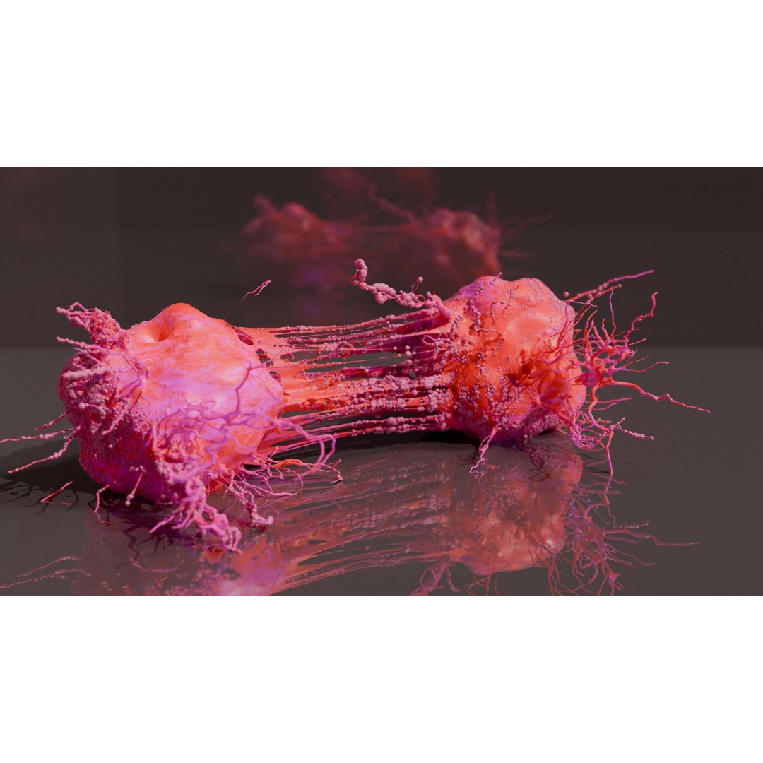 Cancer Cells 3D Model – High-Resolution Animated Infographic, FBX, OBJ - View 3