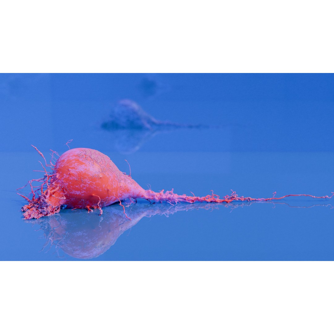 Cancer Cells 3D Model – High-Resolution Animated Infographic, FBX, OBJ - View 4