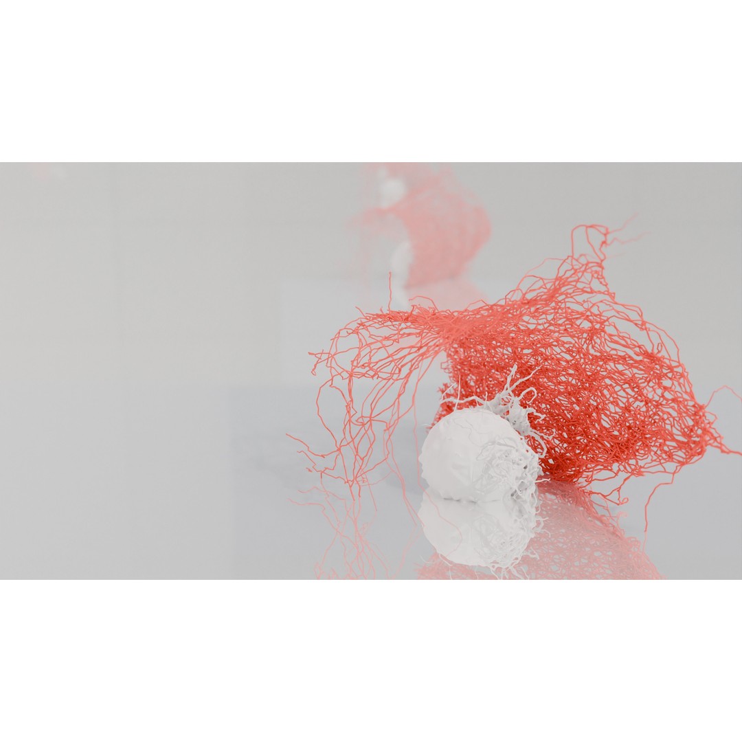 Cancer Cells 3D Model – High-Resolution Animated Infographic, FBX, OBJ - View 5