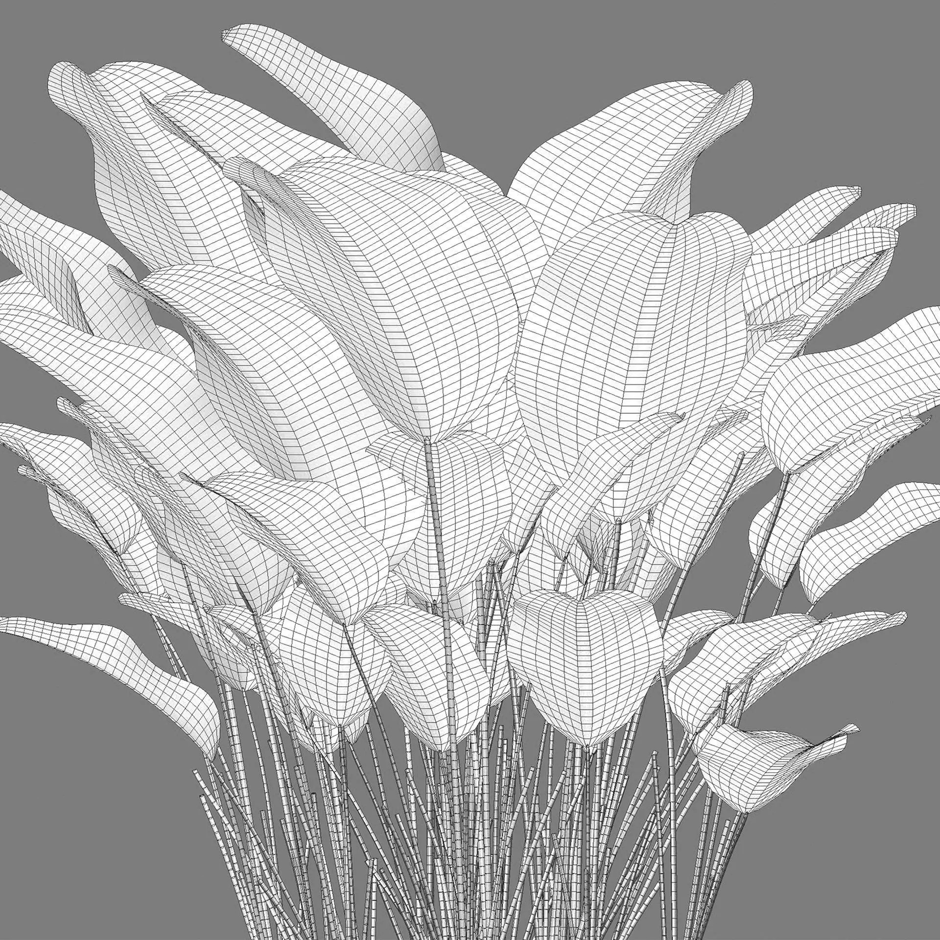 Calathea Lutea - Game-Ready 3D Model - View 5
