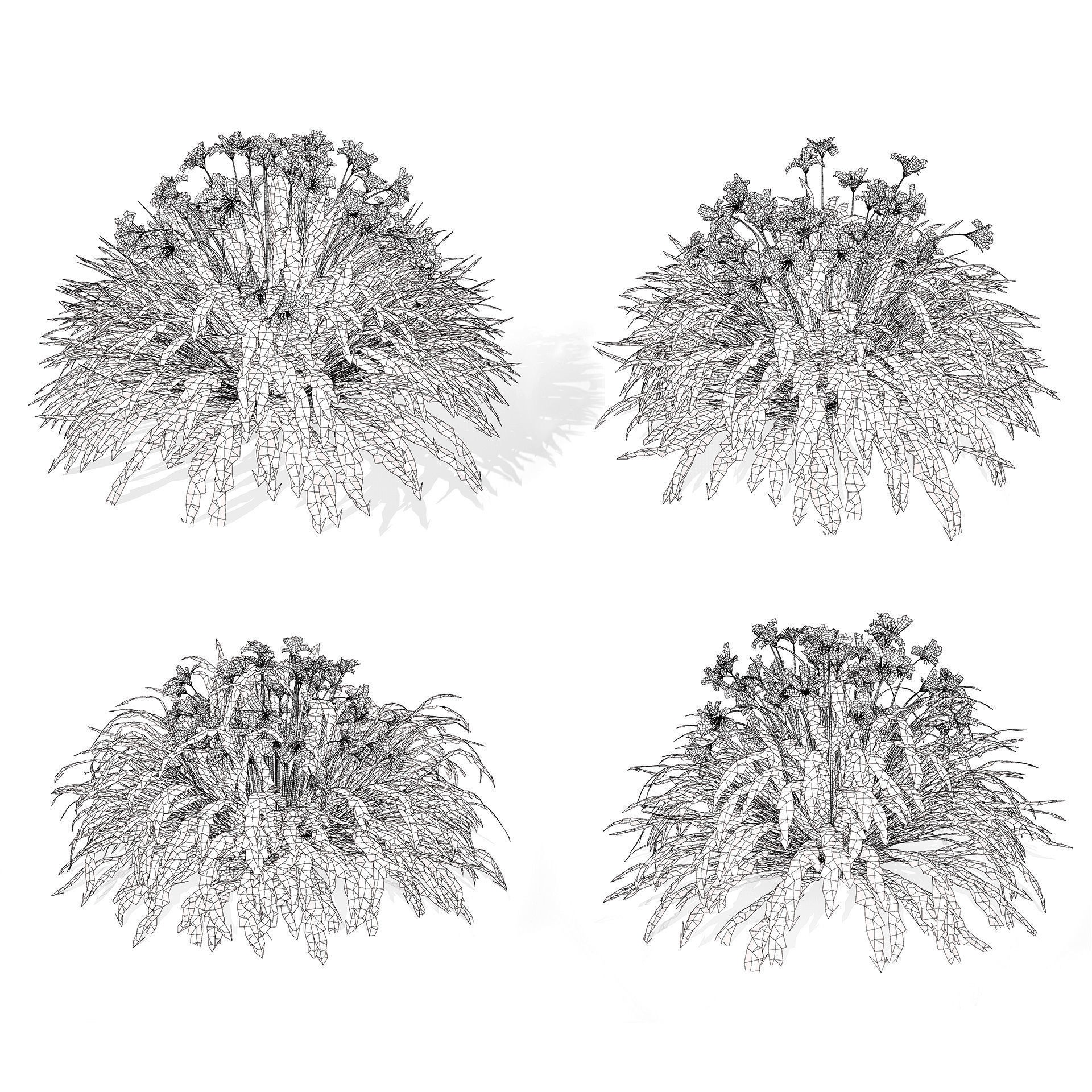 Happy Returns Daylily - Low-Poly Game-Ready 3D Model