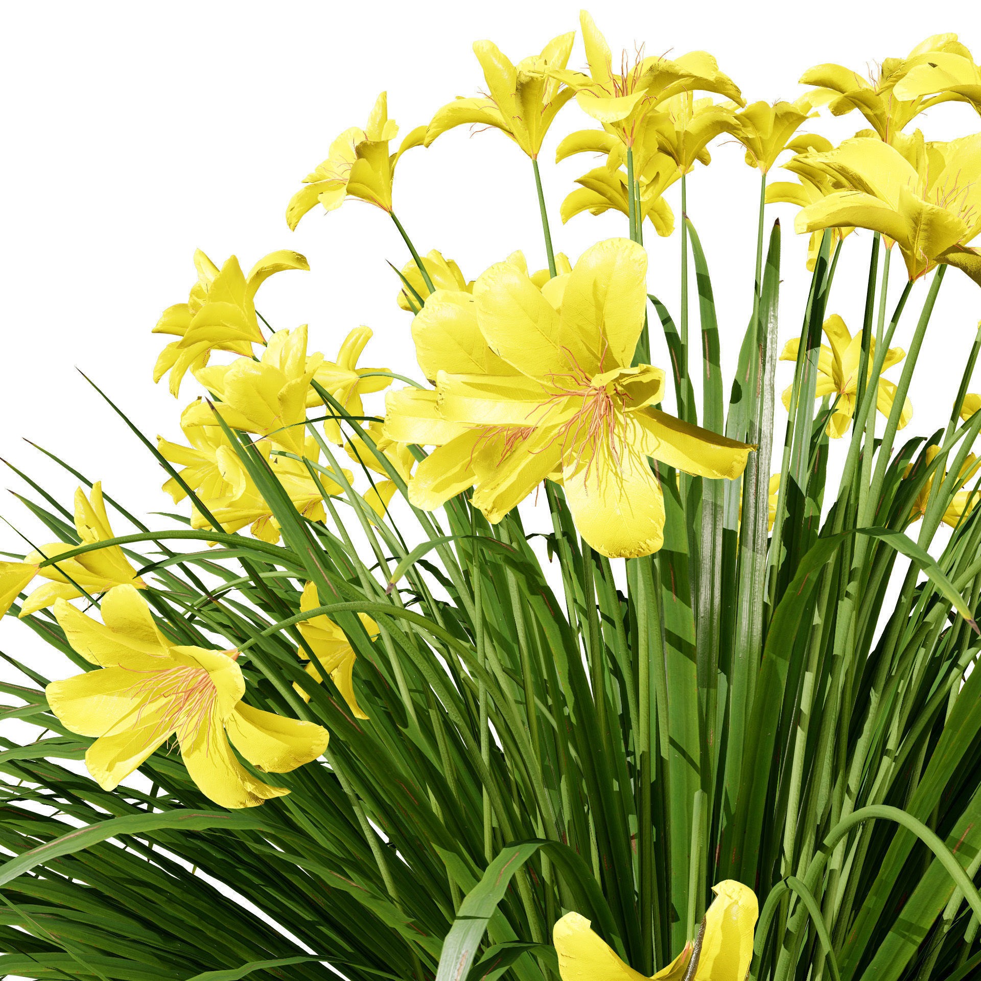 Happy Returns Daylily - Low-Poly Game-Ready 3D Model - View 10