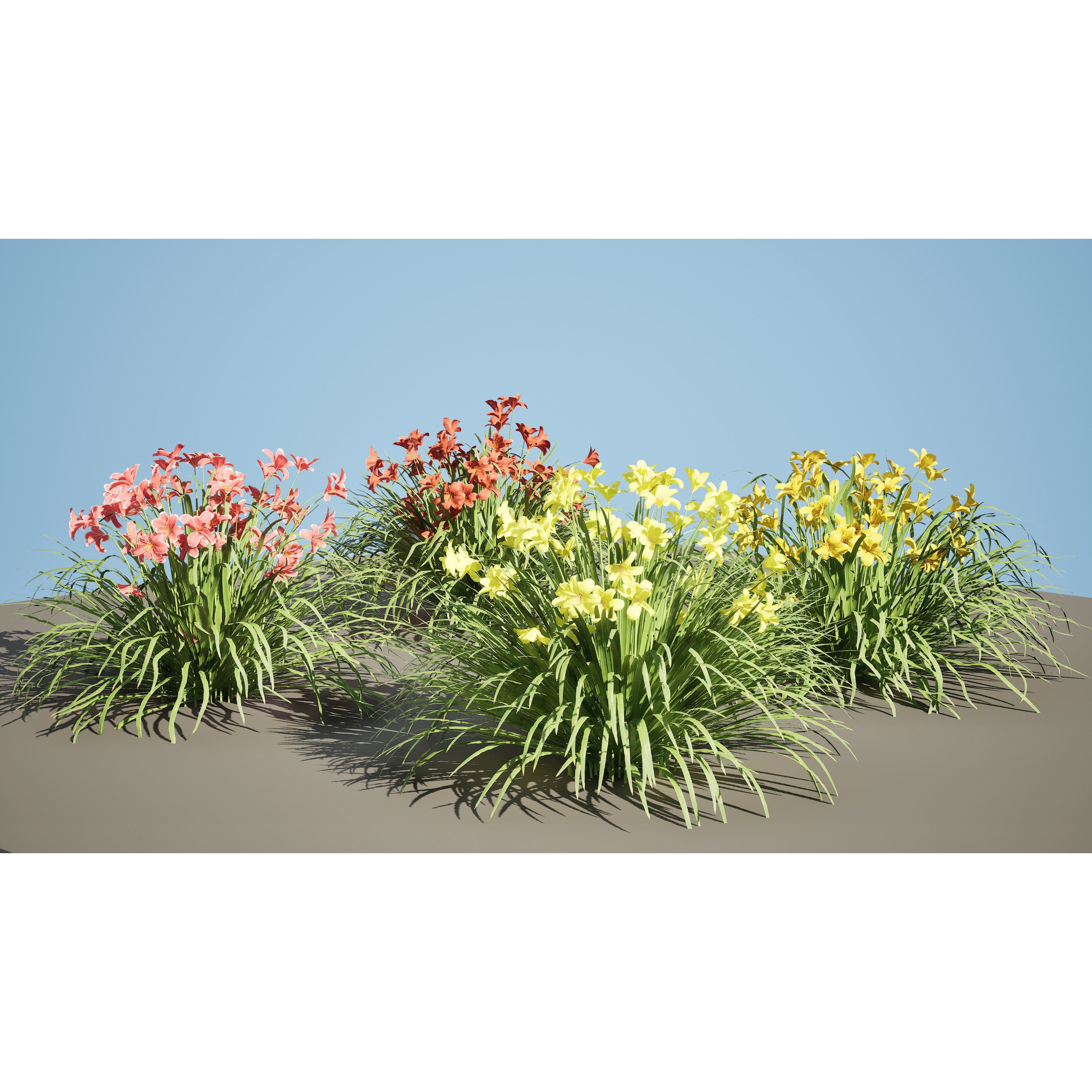 Happy Returns Daylily - Low-Poly Game-Ready 3D Model - View 11