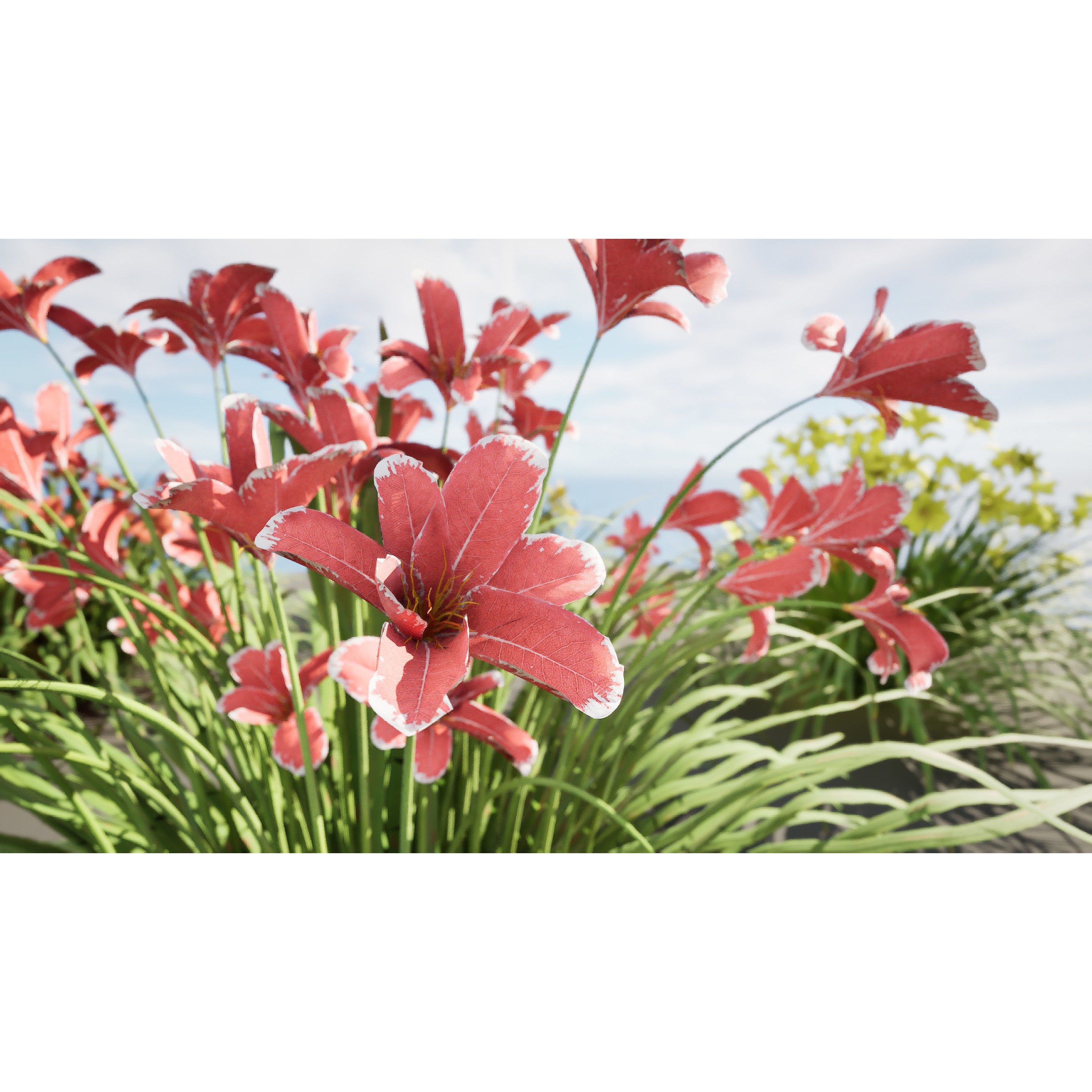 Happy Returns Daylily - Low-Poly Game-Ready 3D Model - View 12