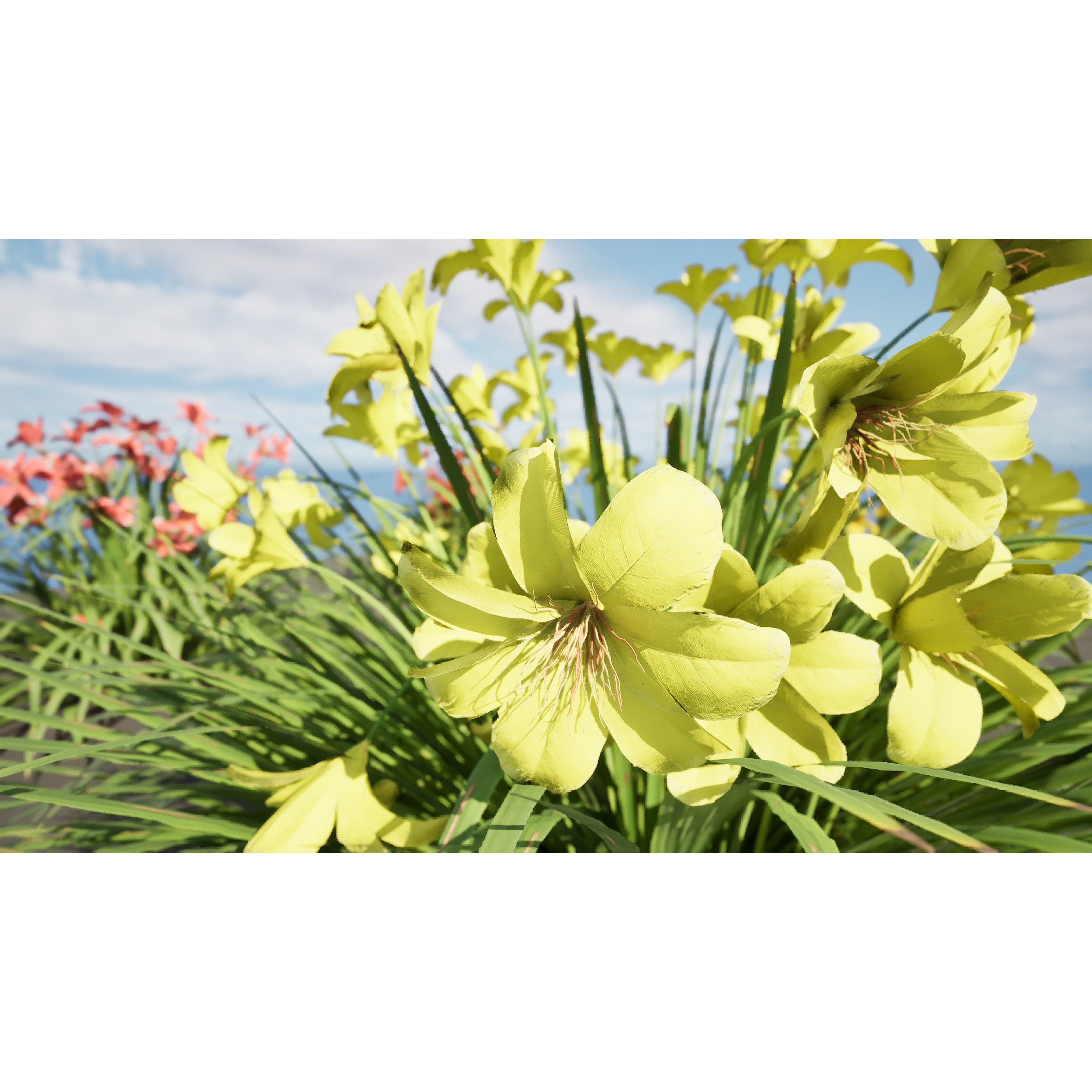 Happy Returns Daylily - Low-Poly Game-Ready 3D Model - View 13