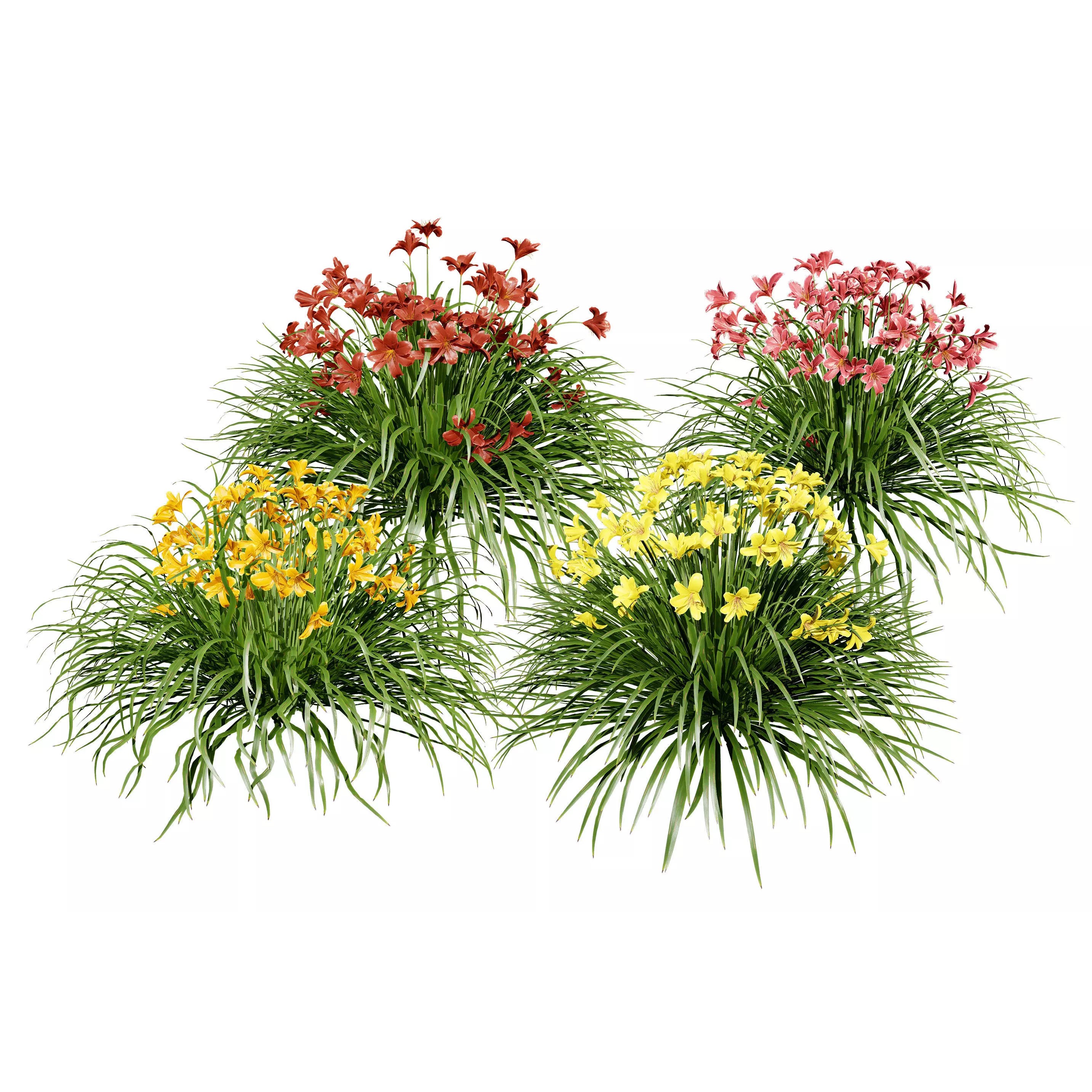 Happy Returns Daylily - Low-Poly Game-Ready 3D Model - View 2