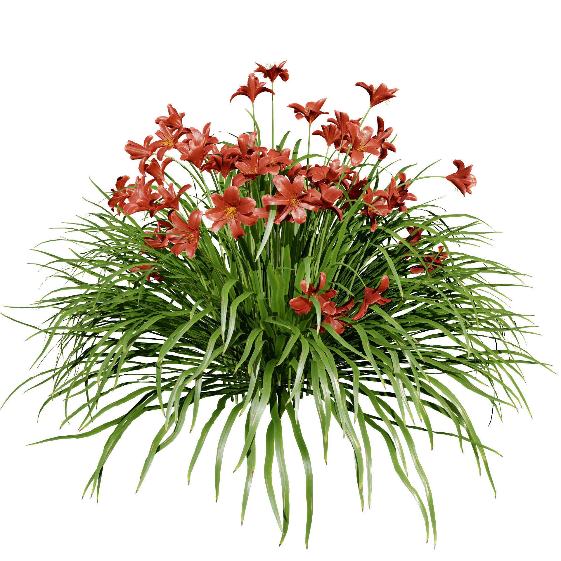 Happy Returns Daylily - Low-Poly Game-Ready 3D Model - View 9