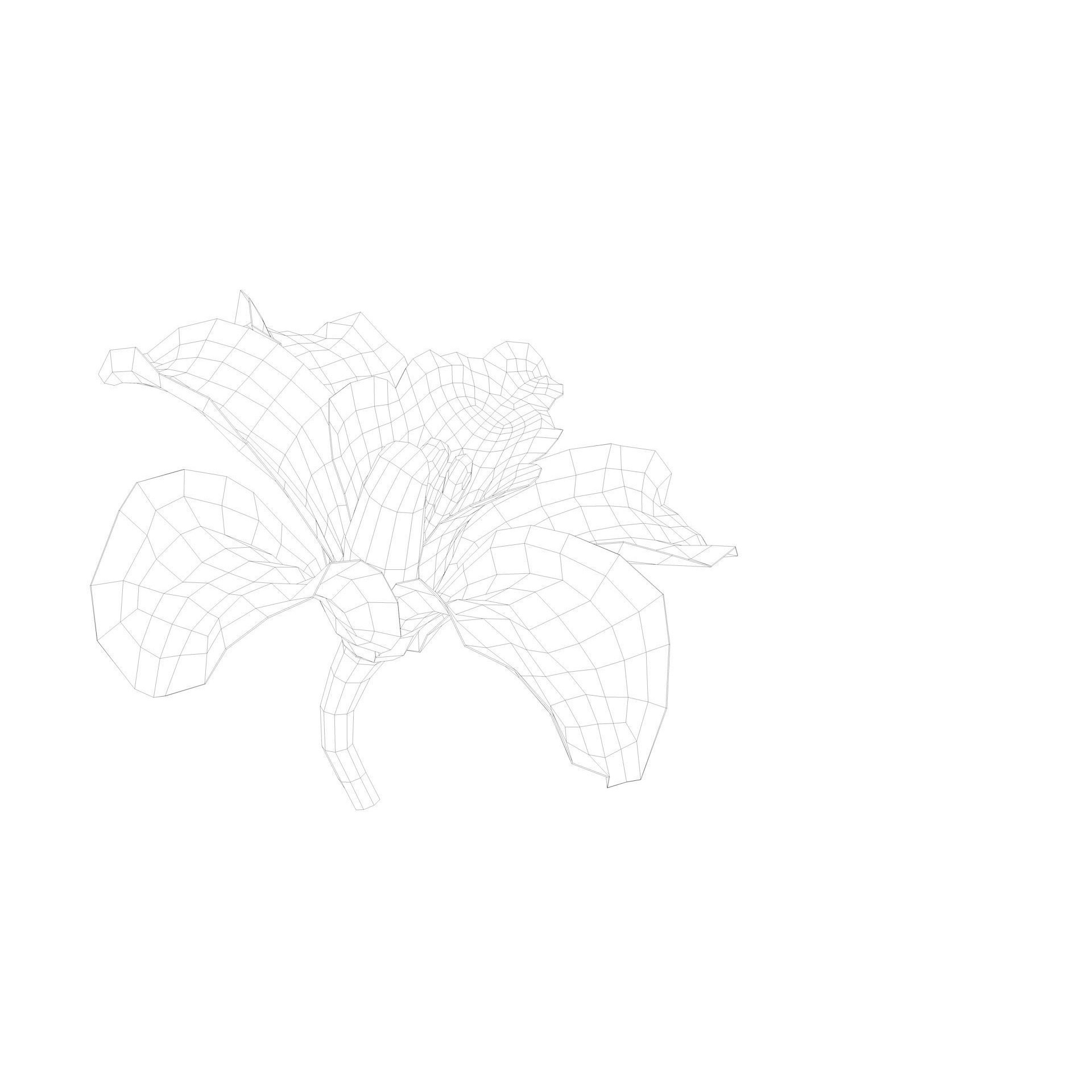 Animated Orchid Flower - Realistic 3D Model