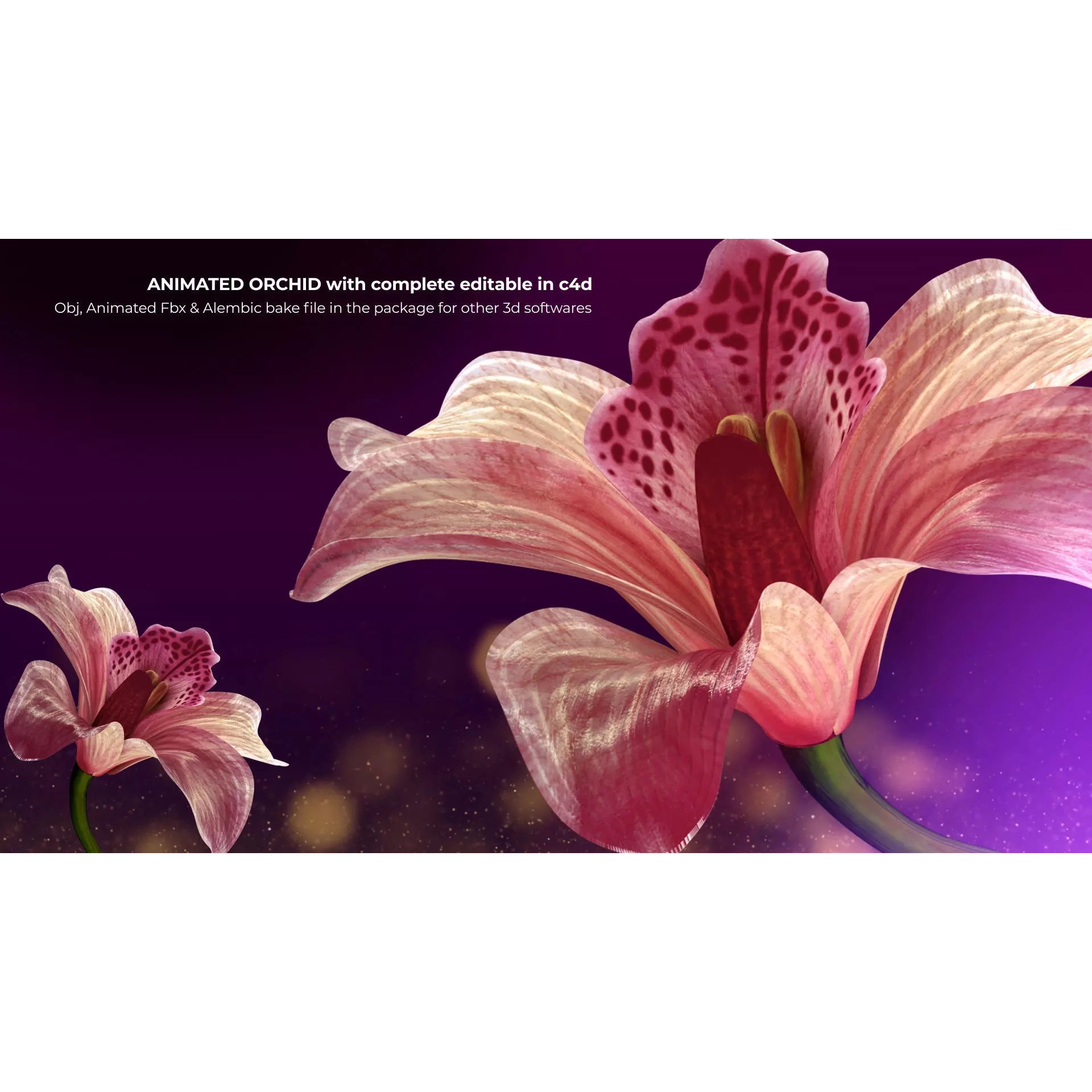 Animated Orchid Flower - Realistic 3D Model - View 2