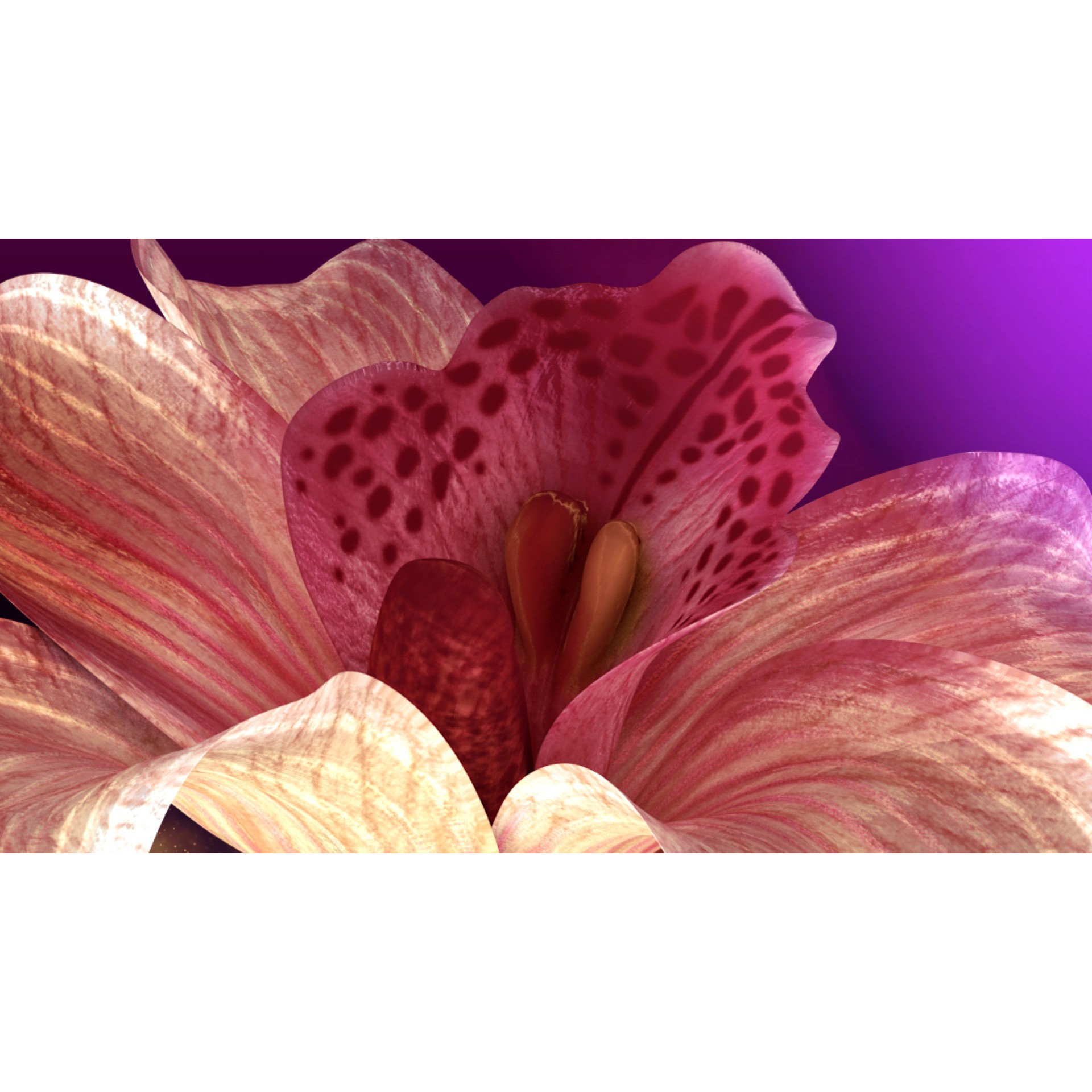 Animated Orchid Flower - Realistic 3D Model - View 5