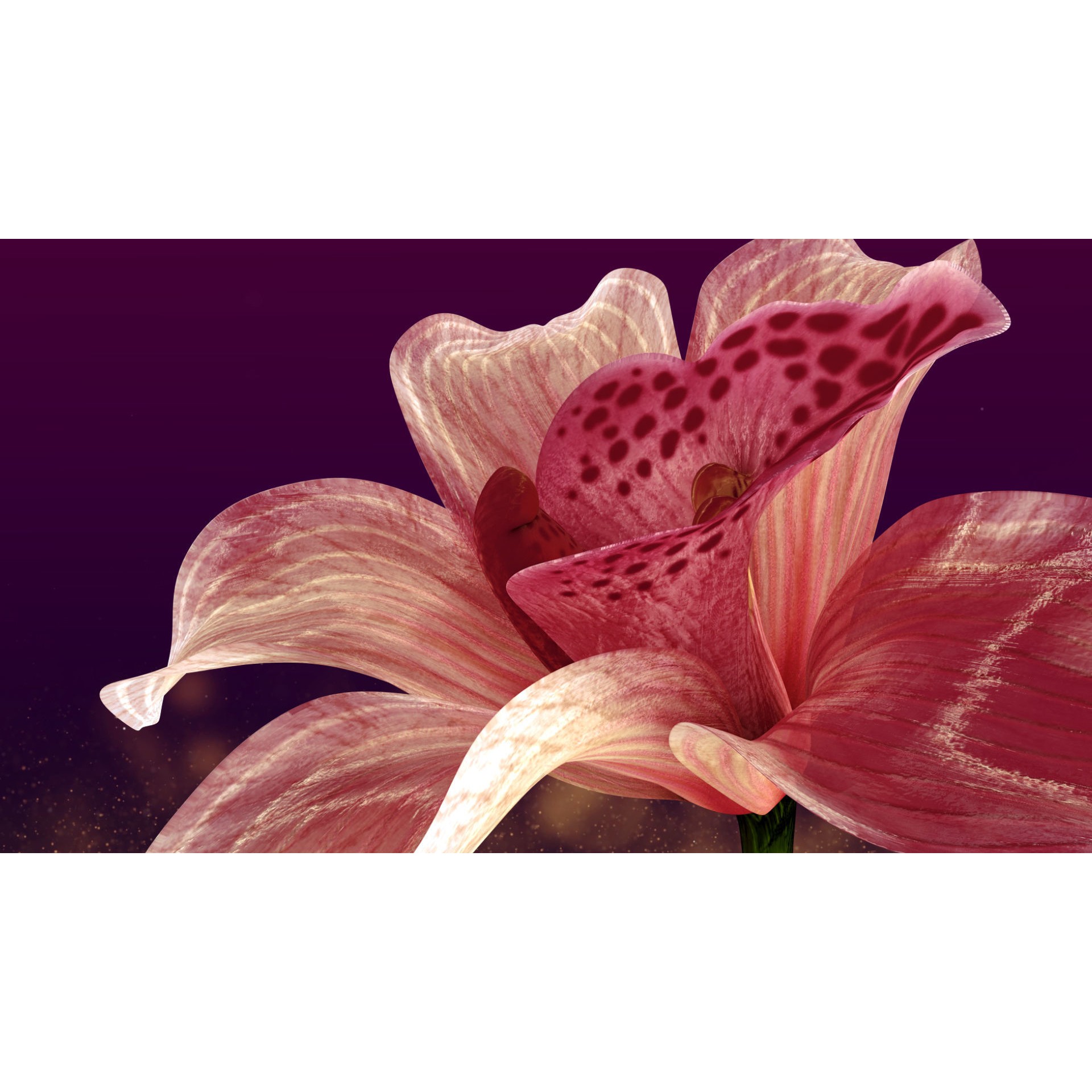 Animated Orchid Flower - Realistic 3D Model - View 6